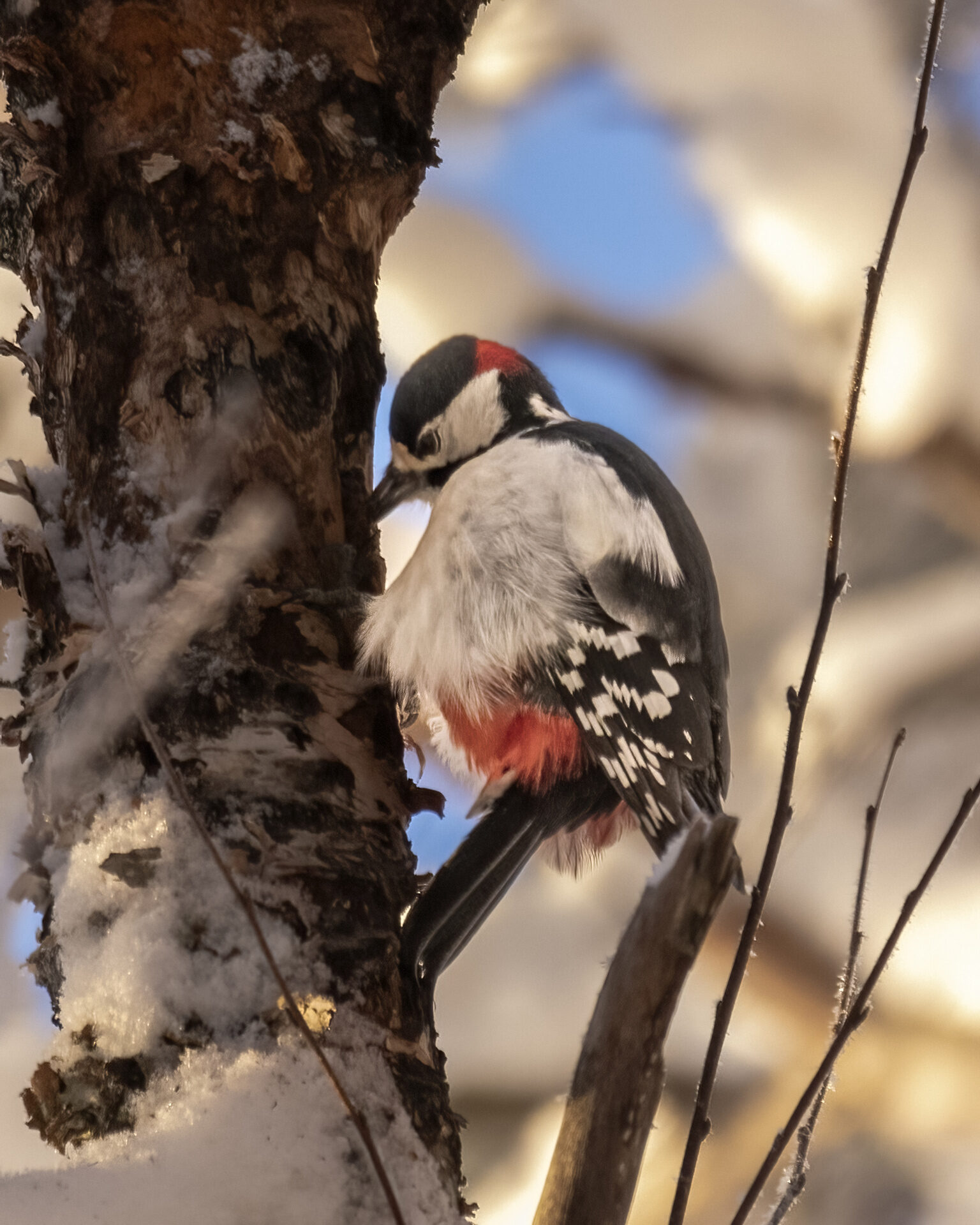 Valokuvaaja: Hannu Tikkanen