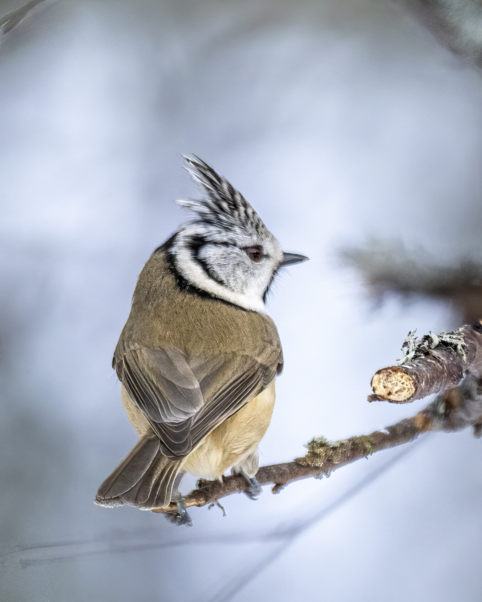 Valokuvaaja: Hannu Tikkanen