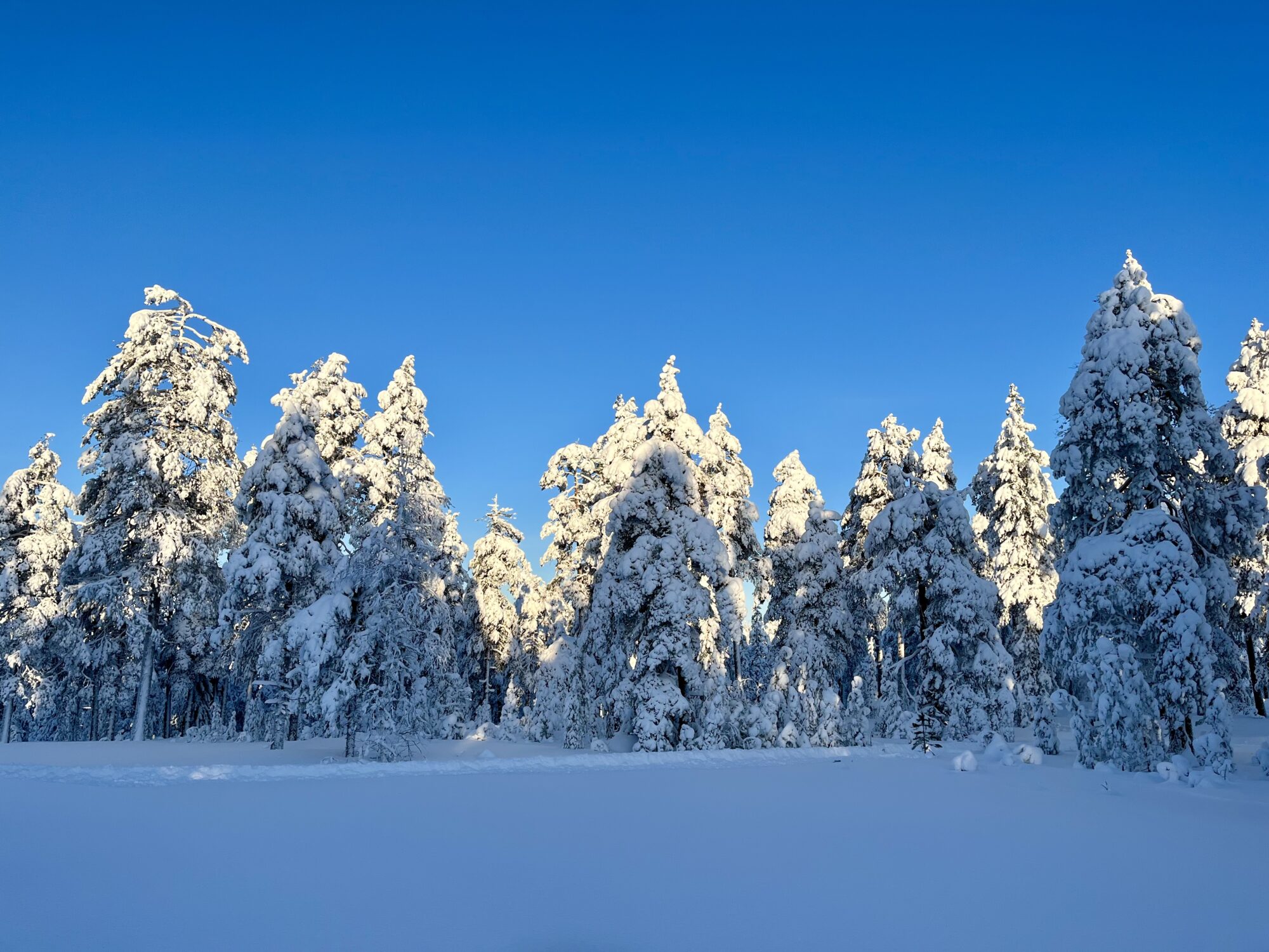Valokuvaaja: Tuukka Pahtamaa