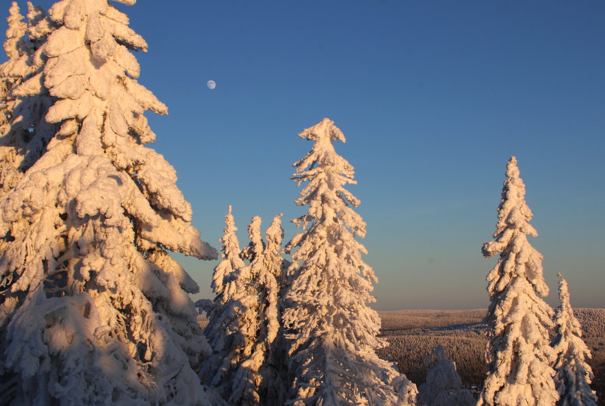 Valokuvaaja: Tuukka Pahtamaa
