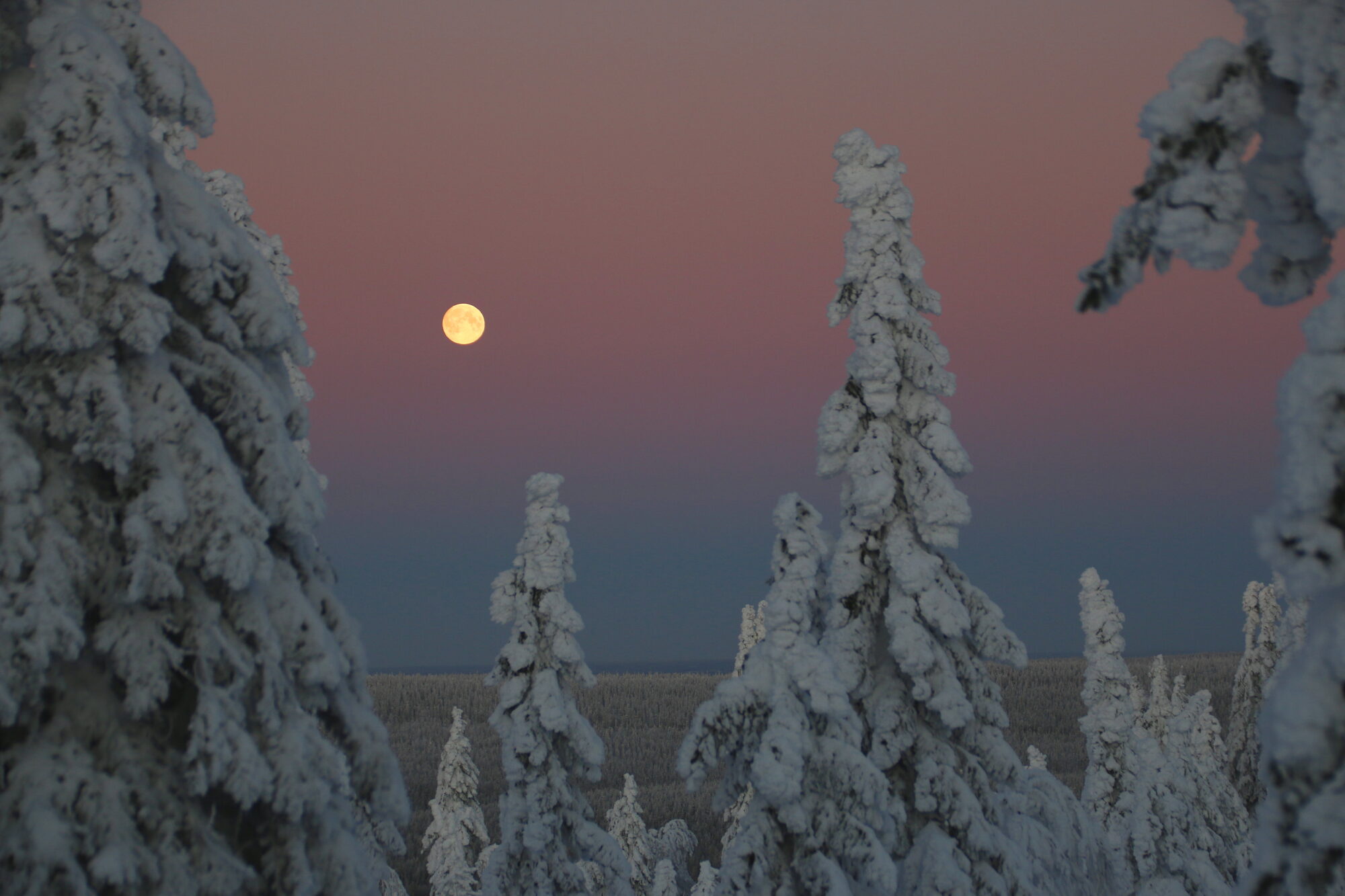 Valokuvaaja: Tuukka Pahtamaa