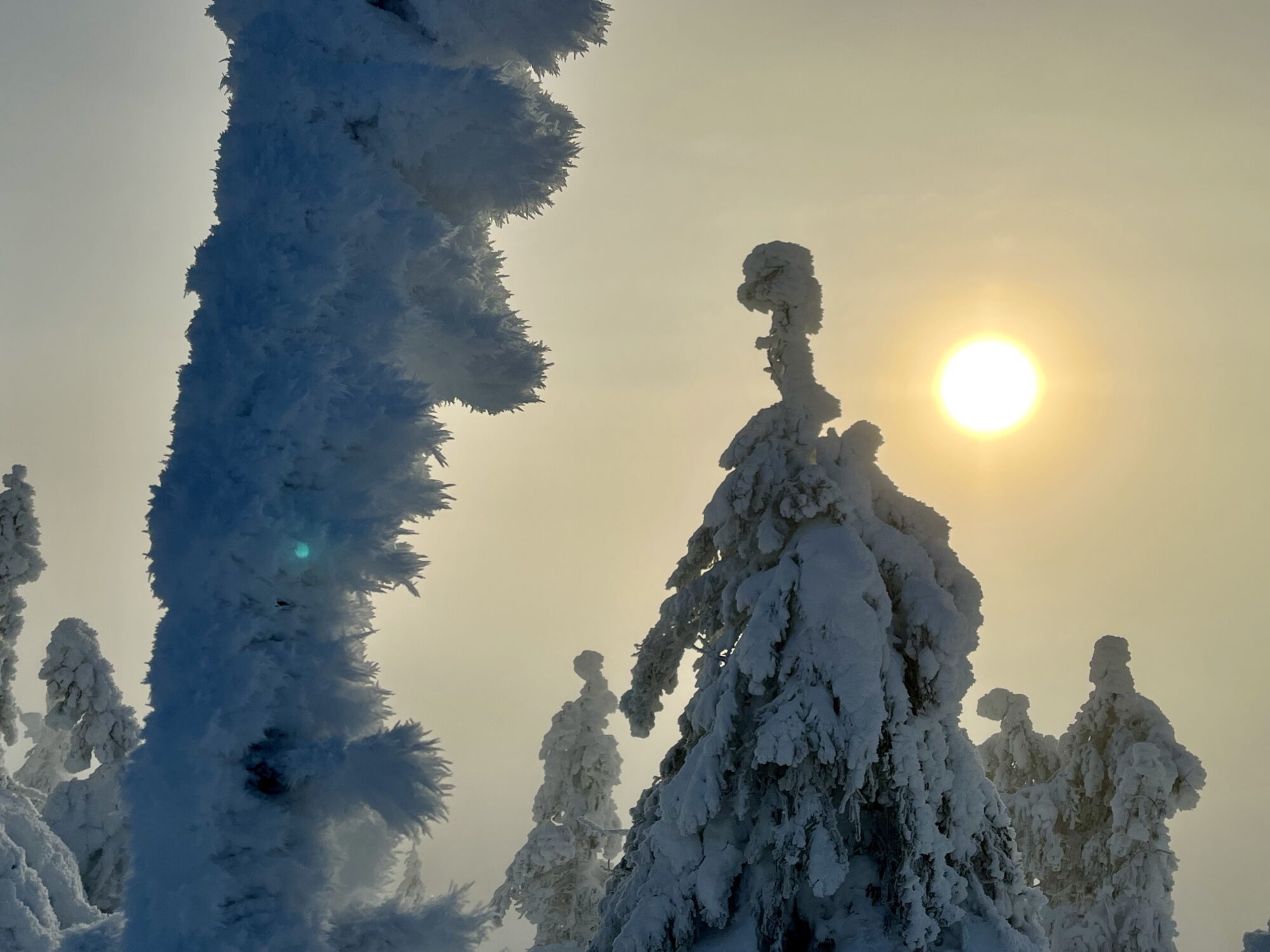 Valokuvaaja: Tuukka Pahtamaa Valokuvaaja: Tuukka Pahtamaa