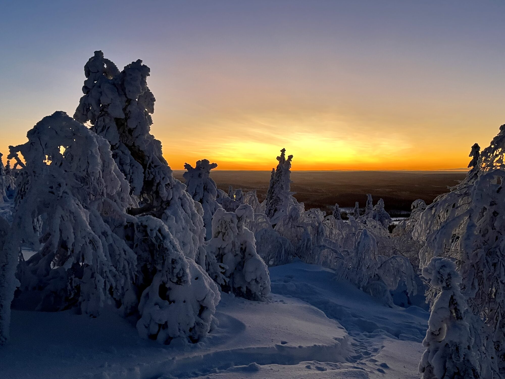 Valokuvaaja: Tuukka Pahtamaa