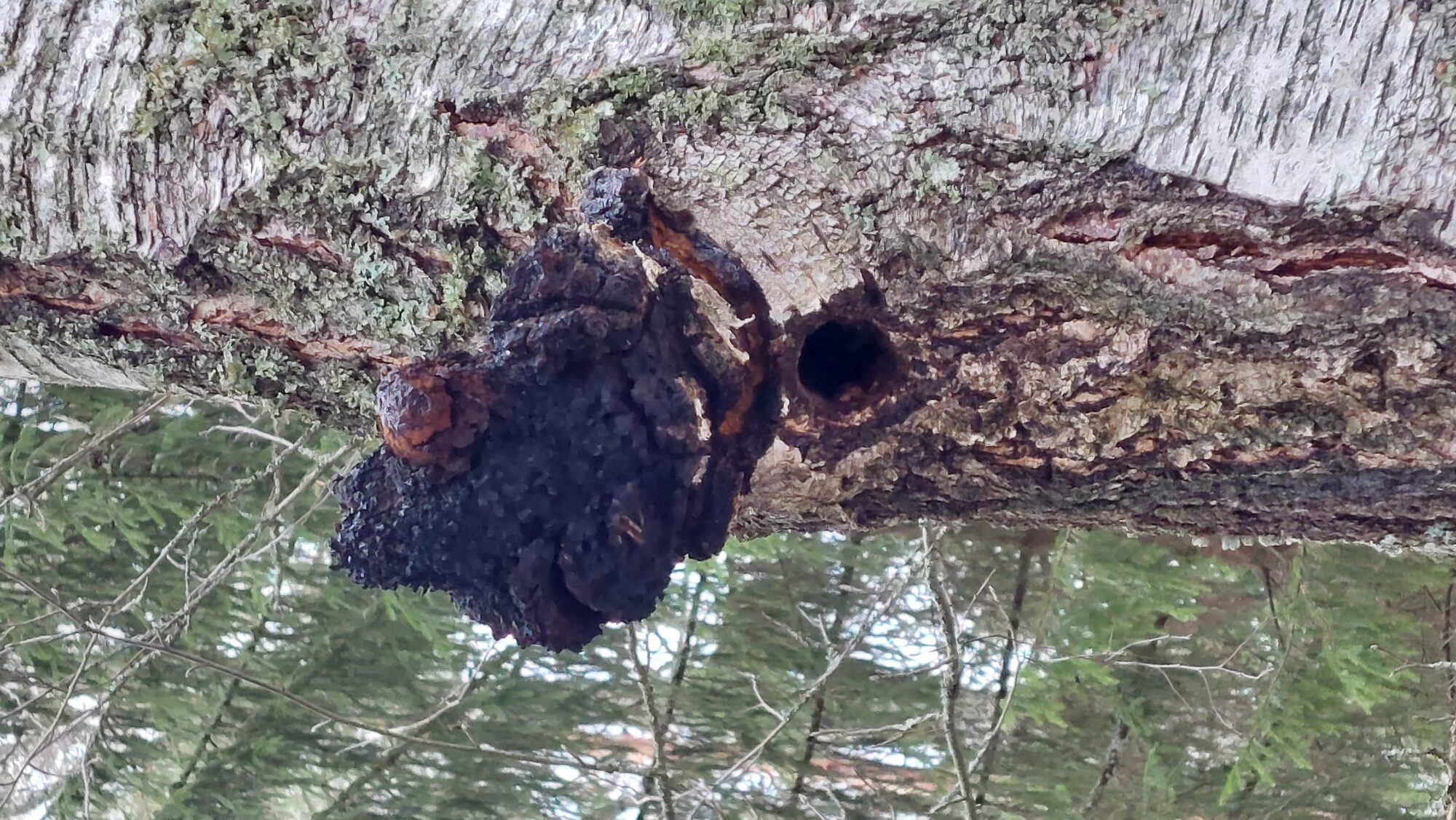 Valokuvaaja: Tarja Naukkarinen