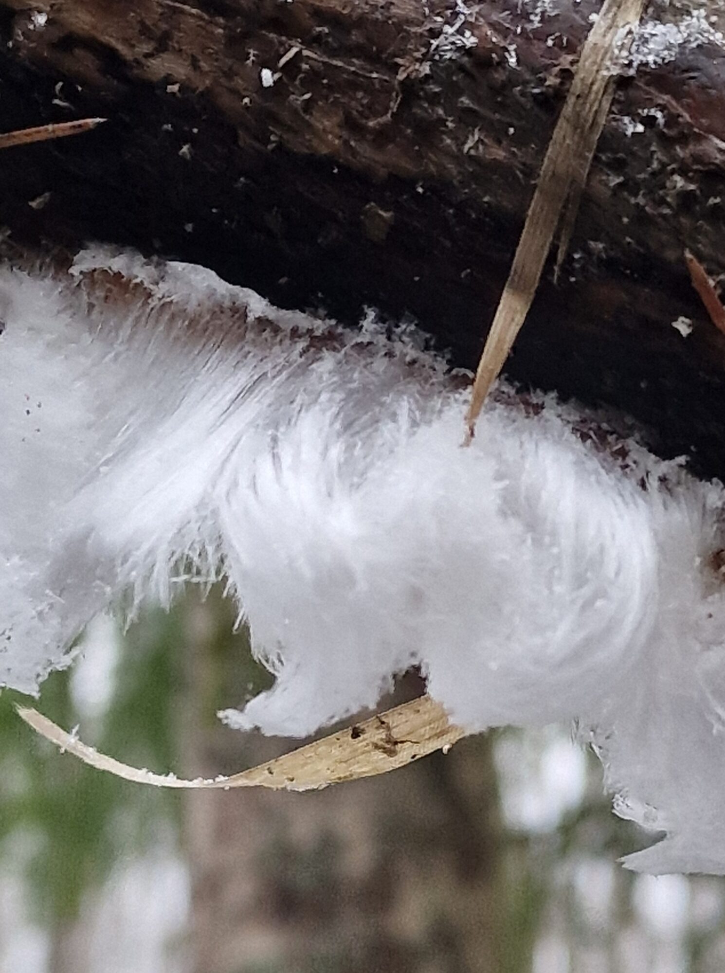 Valokuvaaja: Hanna Rönty