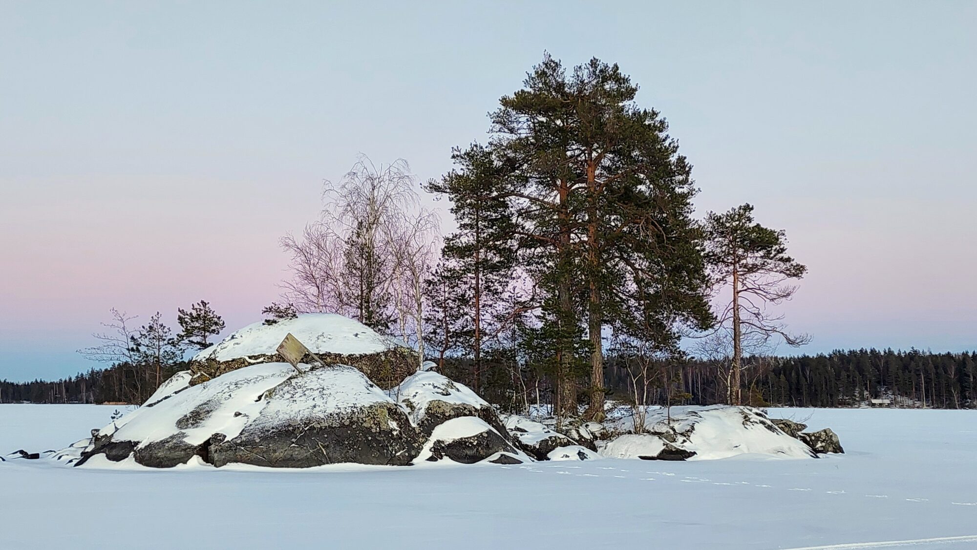 Valokuvaaja: Tarja Naukkarinen