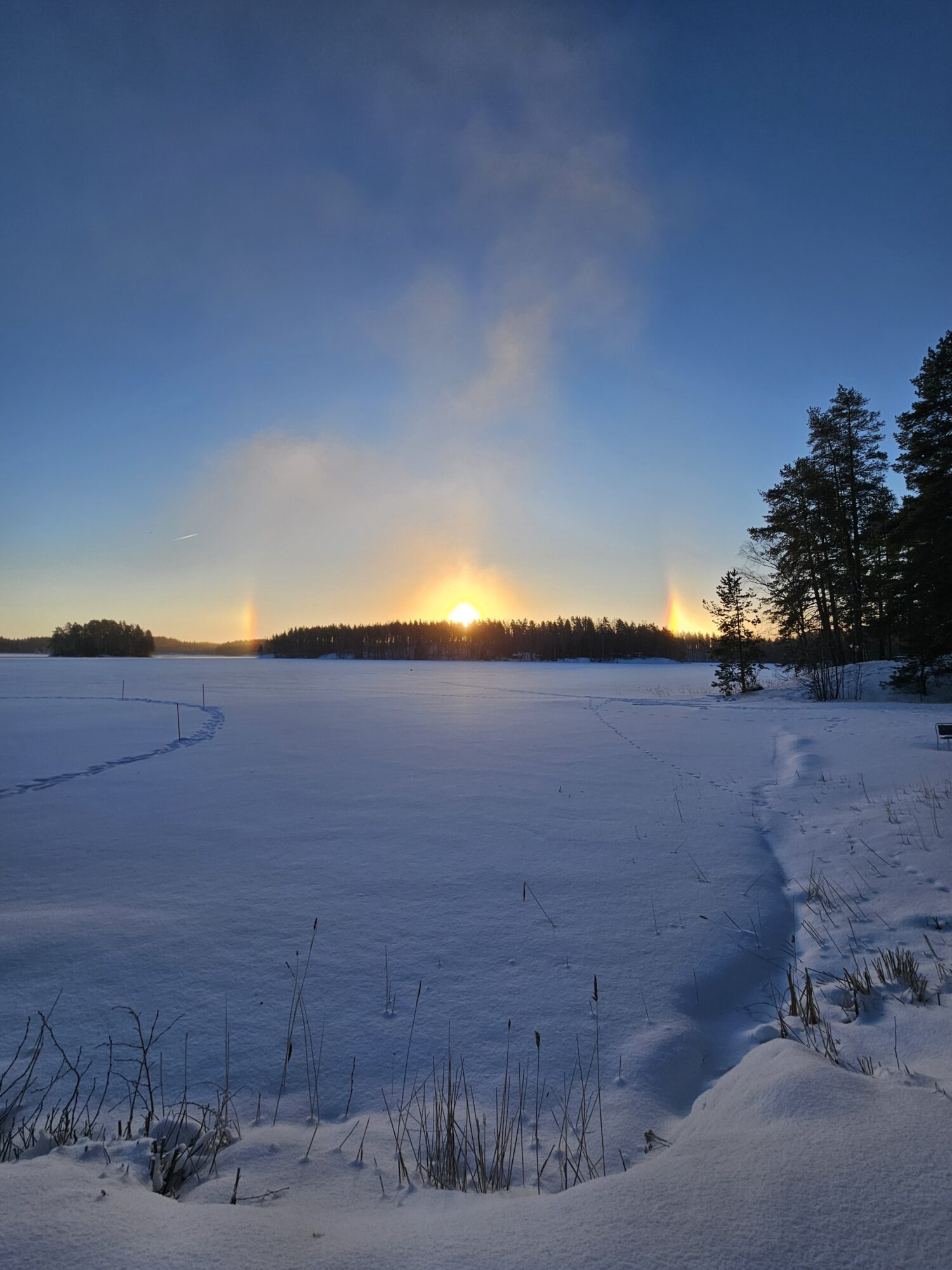 Valokuvaaja: Sirpa Korhonen