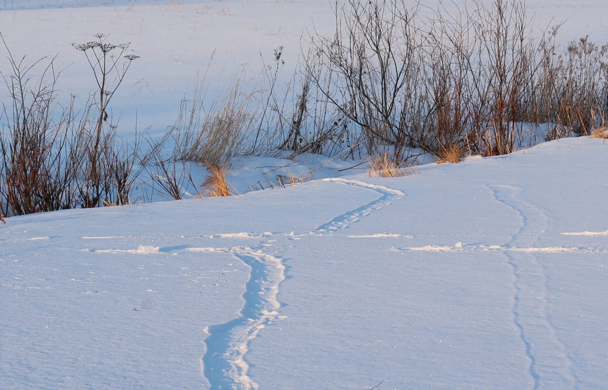 Valokuvaaja: Kaarina Heiskanen
