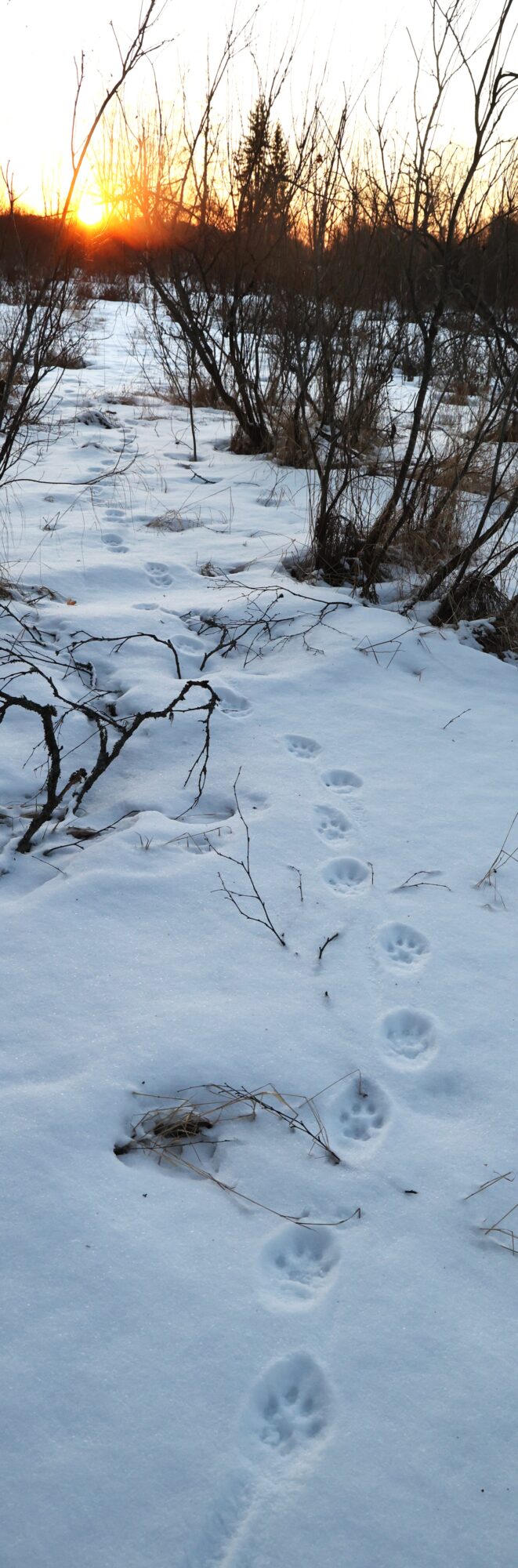Valokuvaaja: Kaarina Heiskanen
