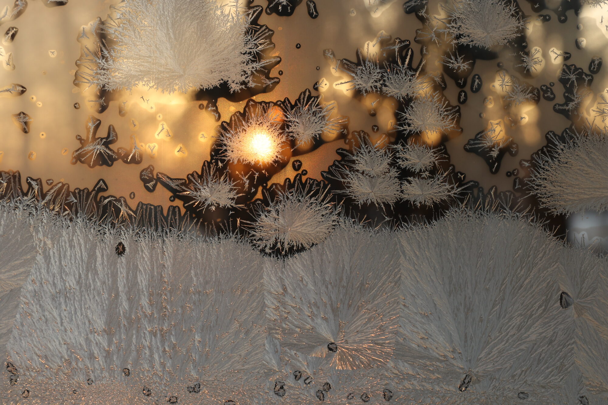 Valokuvaaja: Kaarina Heiskanen