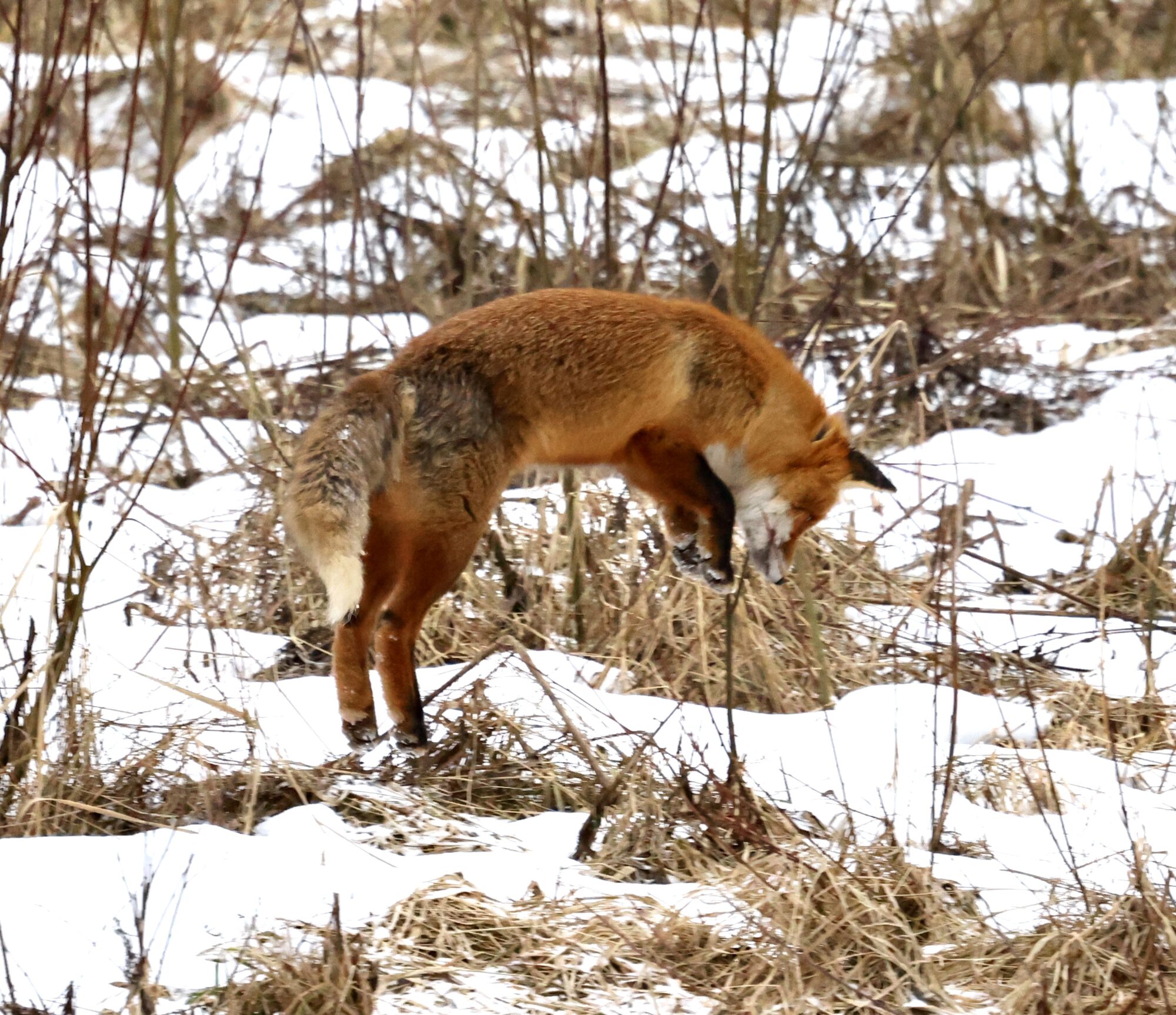 Valokuvaaja: Jukka Henriksson