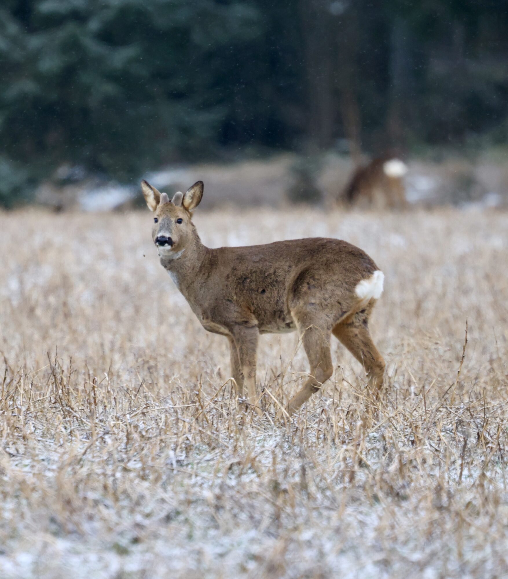 Valokuvaaja: Jukka Henriksson