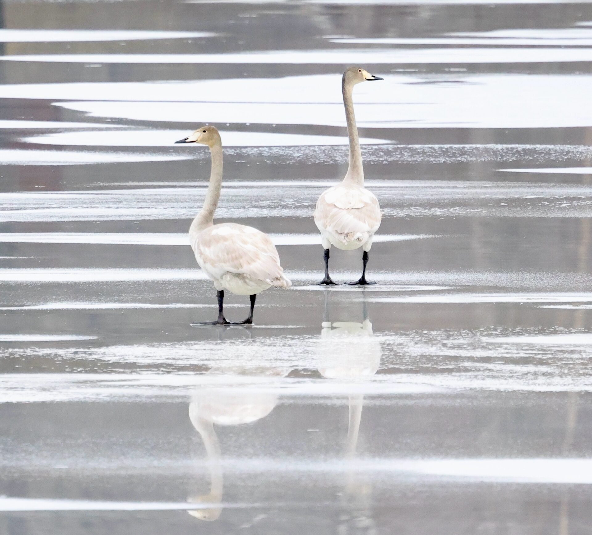 Valokuvaaja: Jukka Valokuvaaja: Jukka
