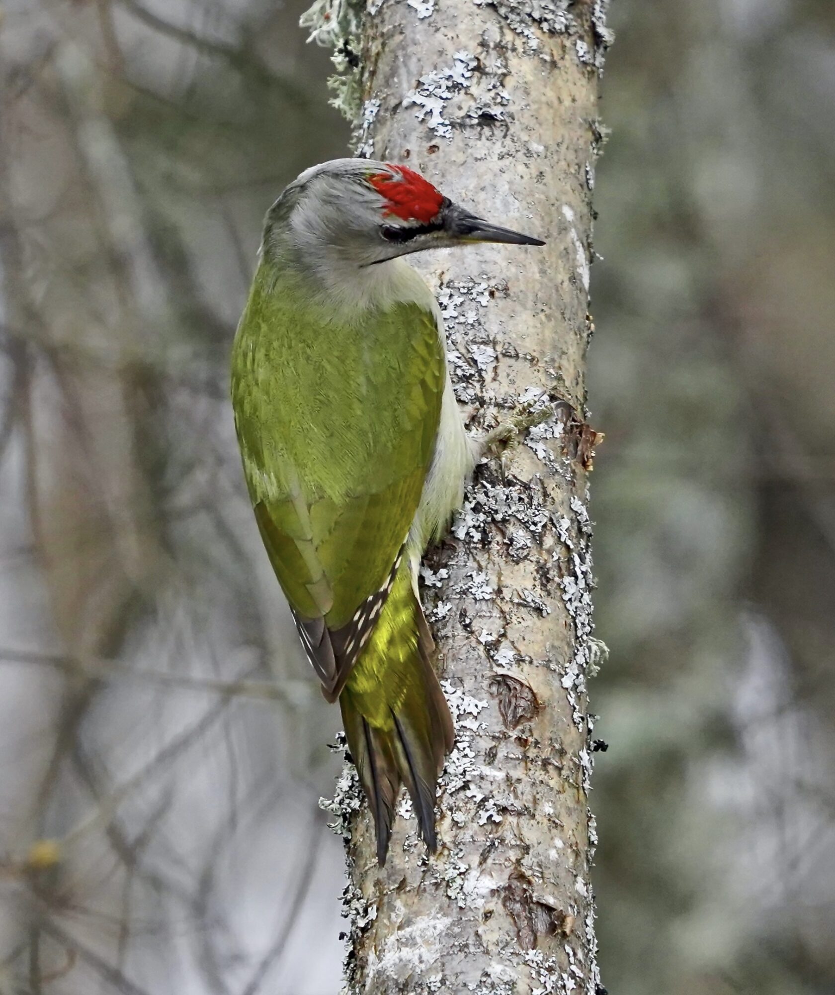 Valokuvaaja: Markku Ranta-Eilola Valokuvaaja: Markku Ranta-Eilola