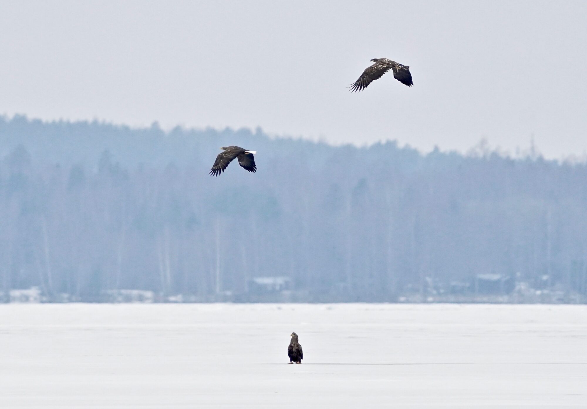 Valokuvaaja: Markku Ranta-Eilola