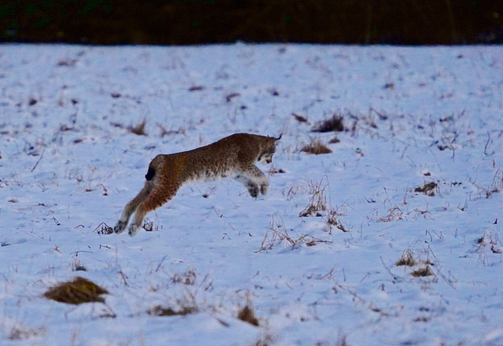 Valokuvaaja: Markku Ranta-Eilola