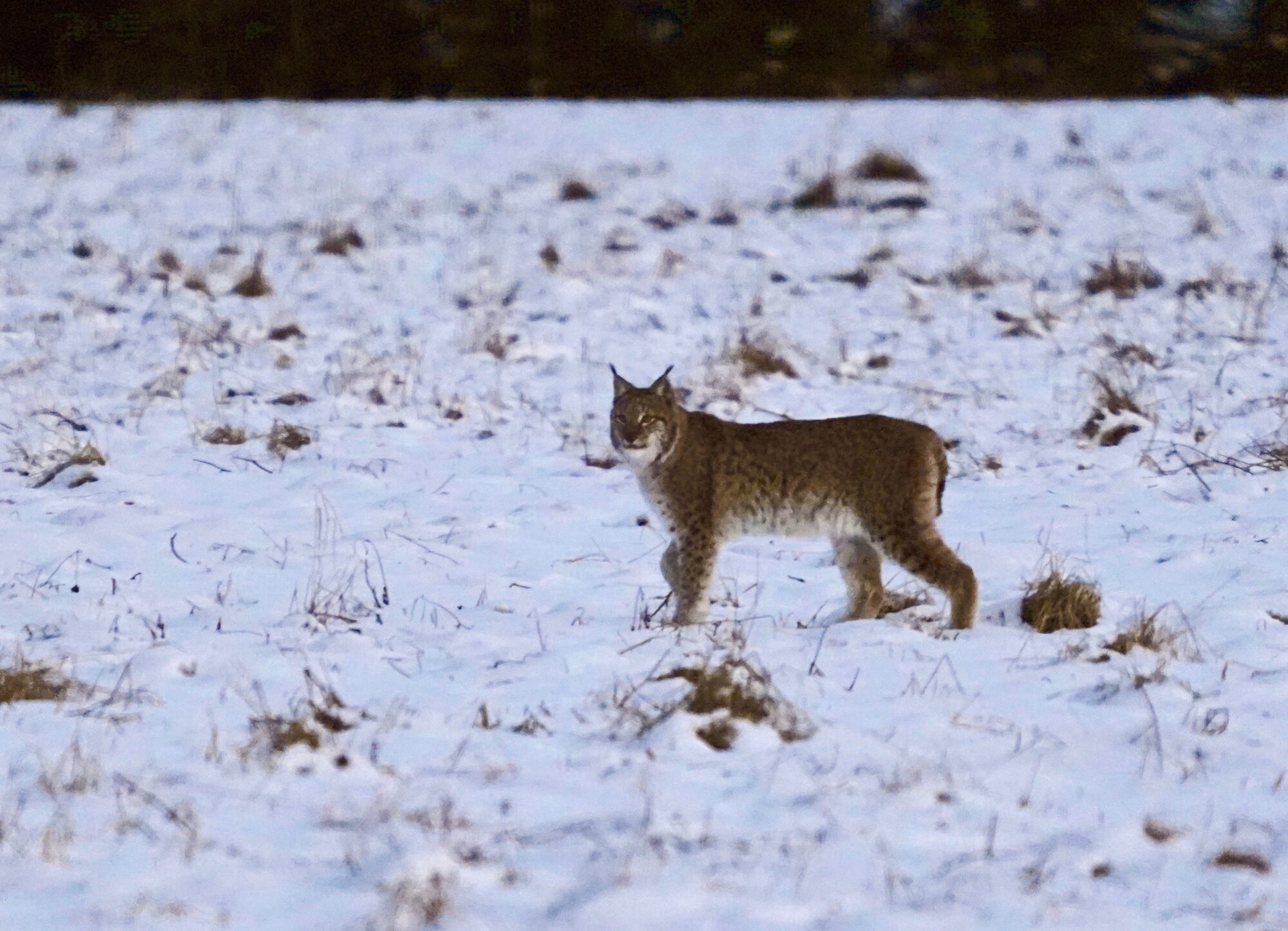 Valokuvaaja: Markku Ranta-Eilola