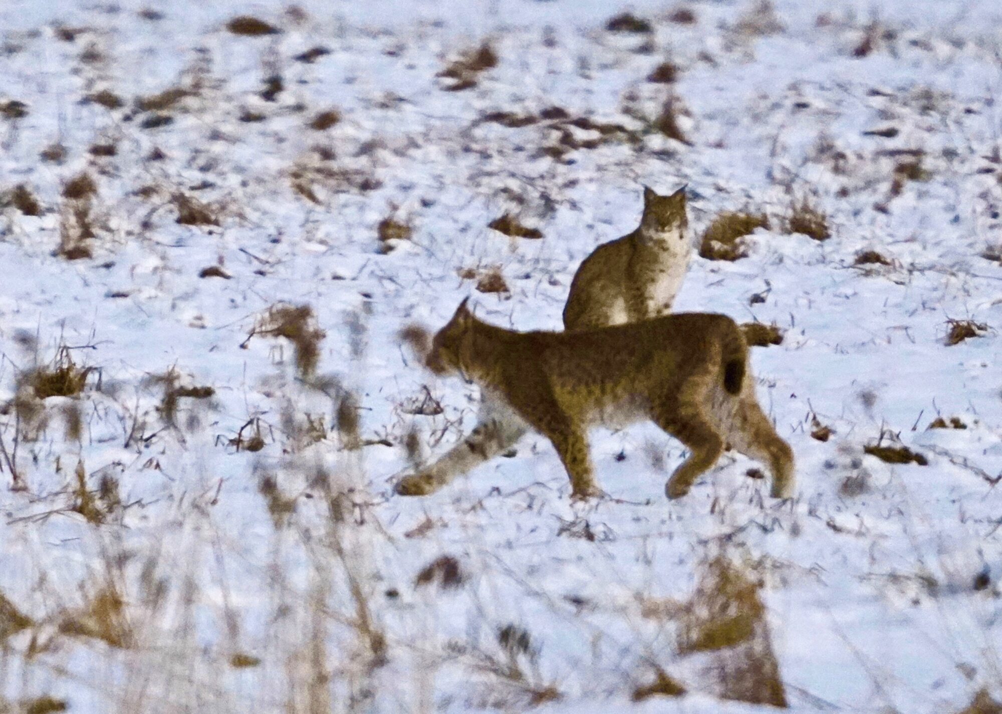 Valokuvaaja: Markku Ranta-Eilola Valokuvaaja: Markku Ranta-Eilola