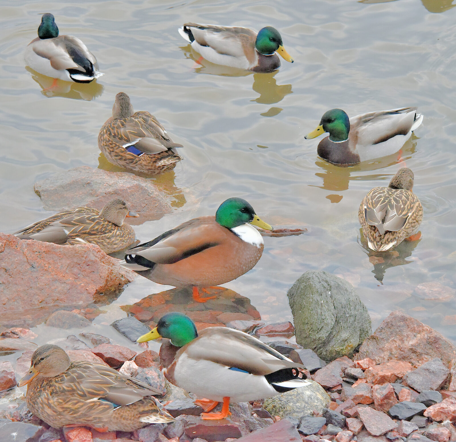 Valokuvaaja: Reijo Juurinen