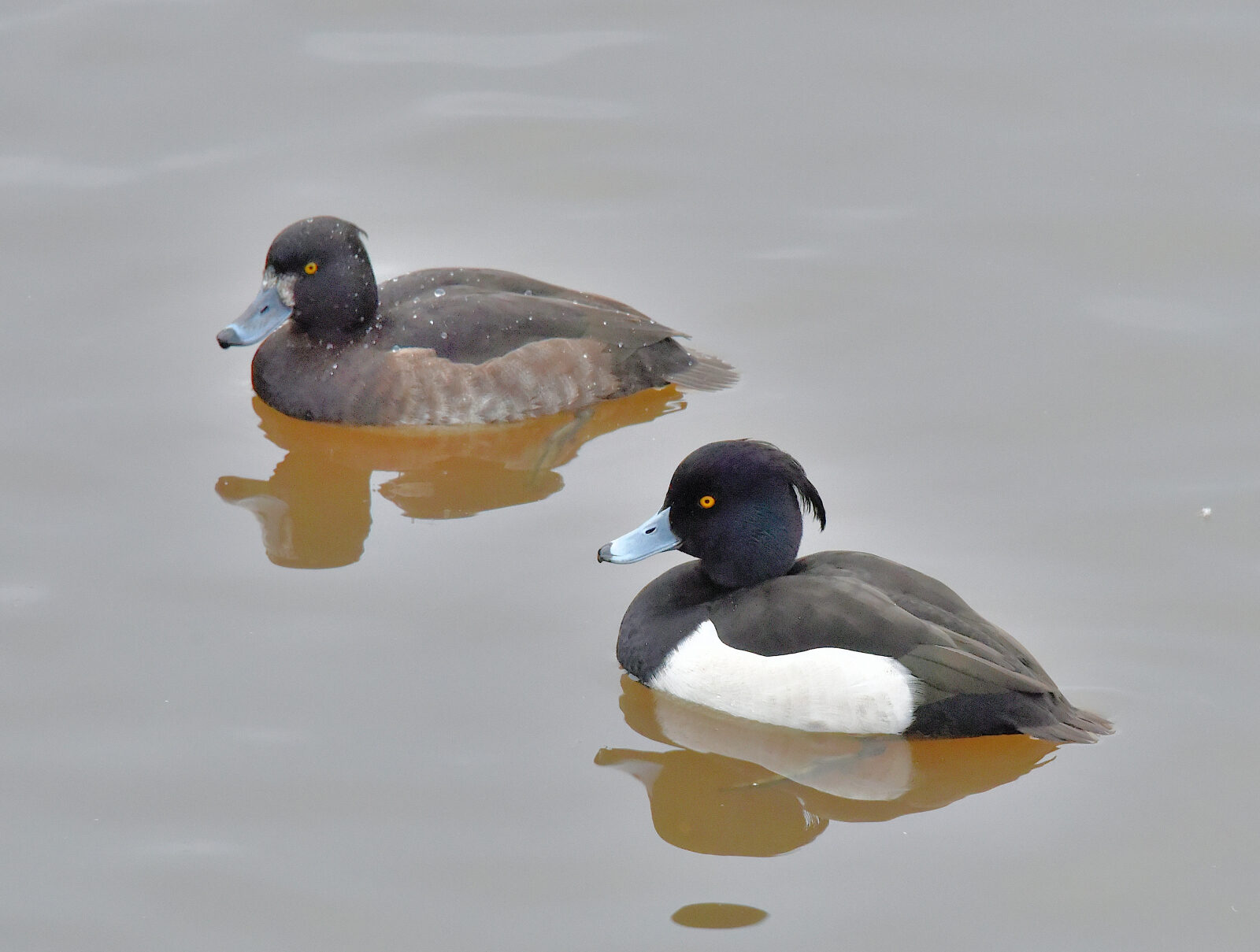 Valokuvaaja: Reijo Juurinen
