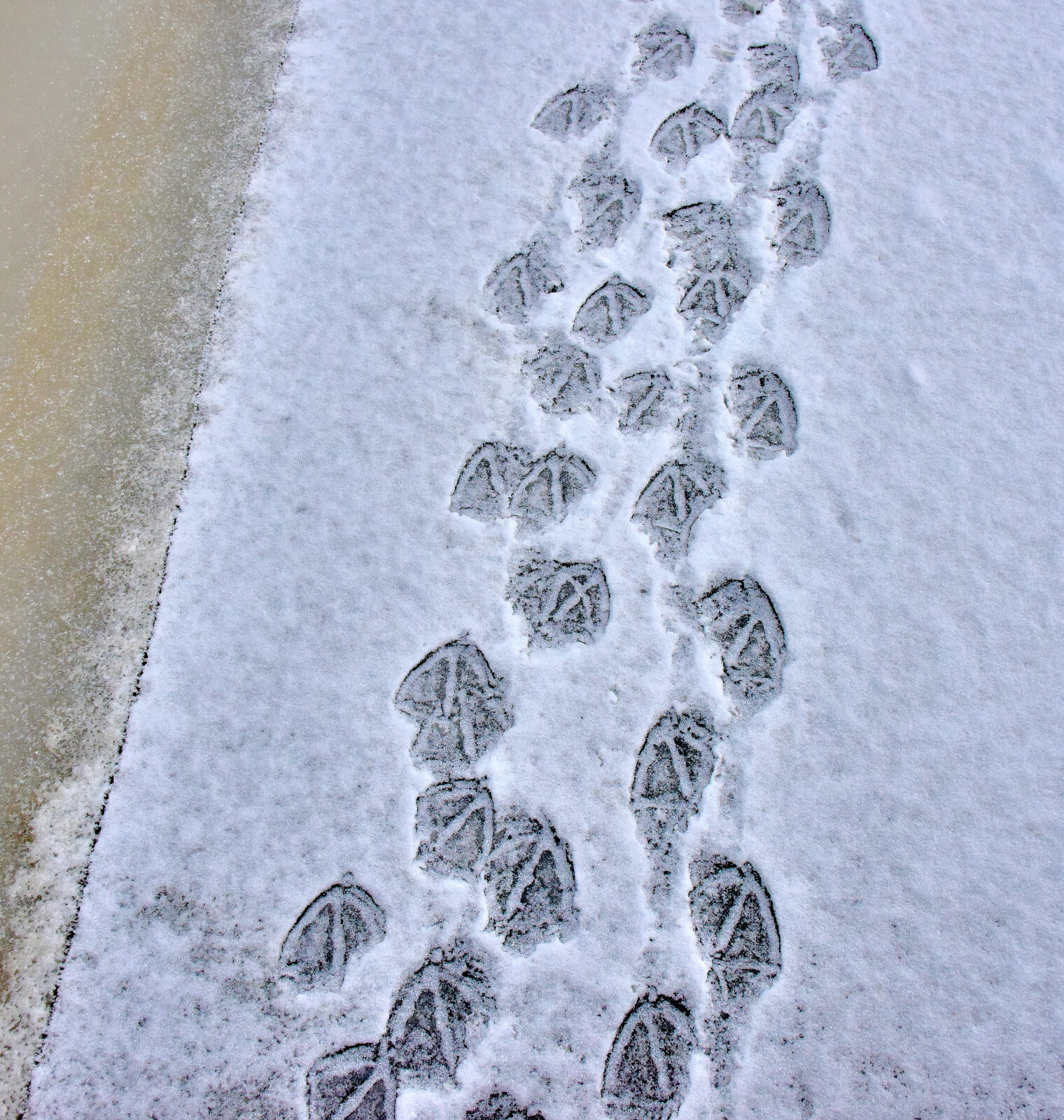 Valokuvaaja: Reijo Juurinen