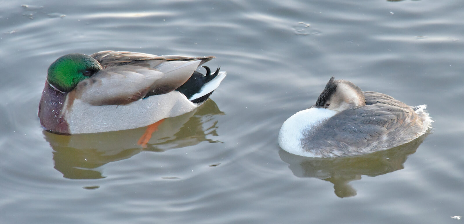 Valokuvaaja: Reijo Juurinen