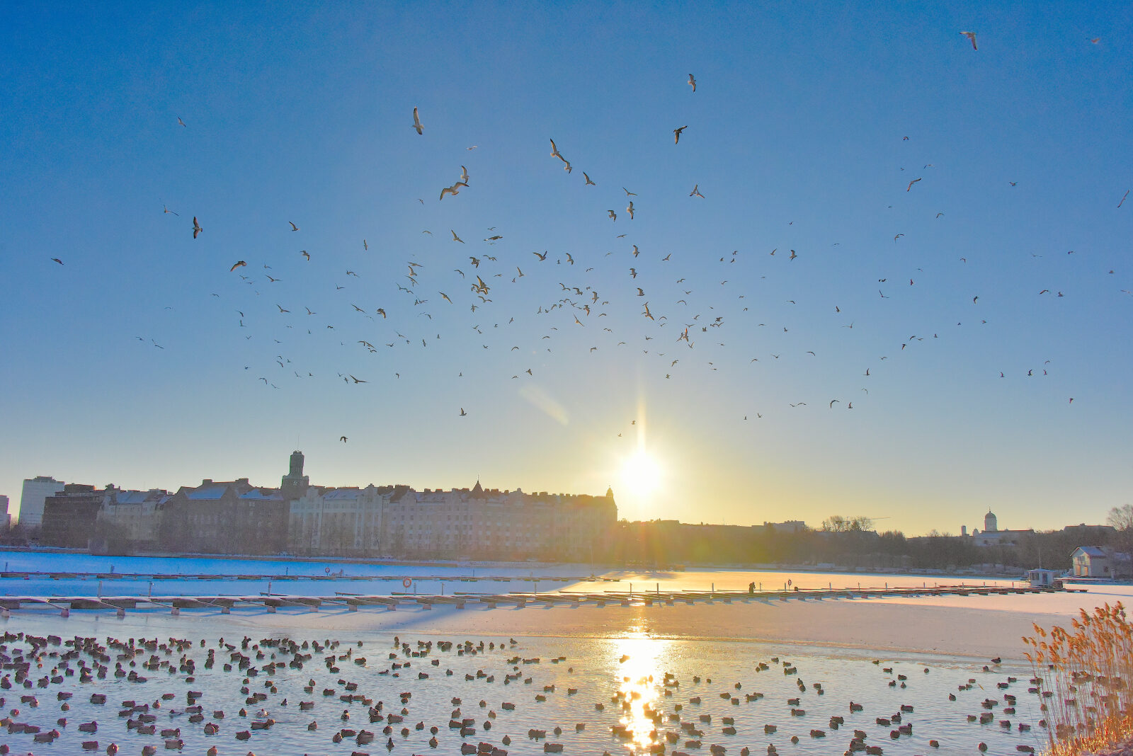 Valokuvaaja: Reijo Juurinen Valokuvaaja: Reijo Juurinen