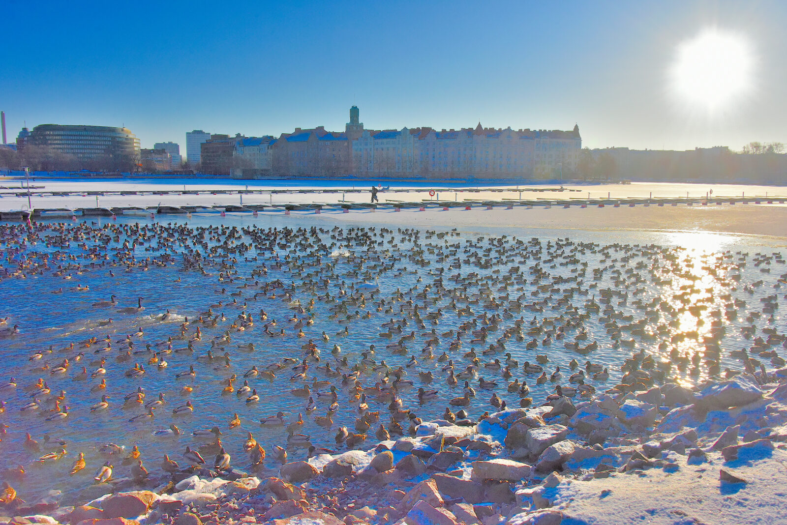 Valokuvaaja: Reijo Juurinen