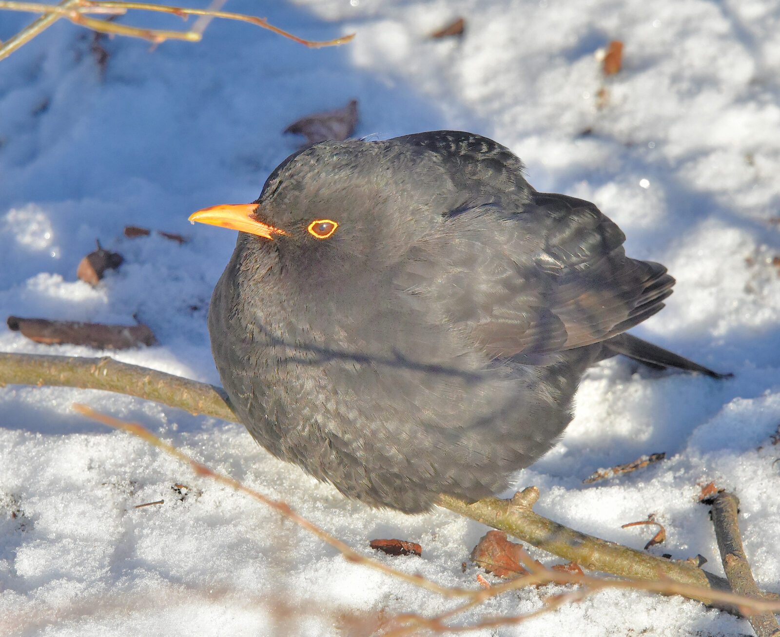 Valokuvaaja: Reijo Juurinen