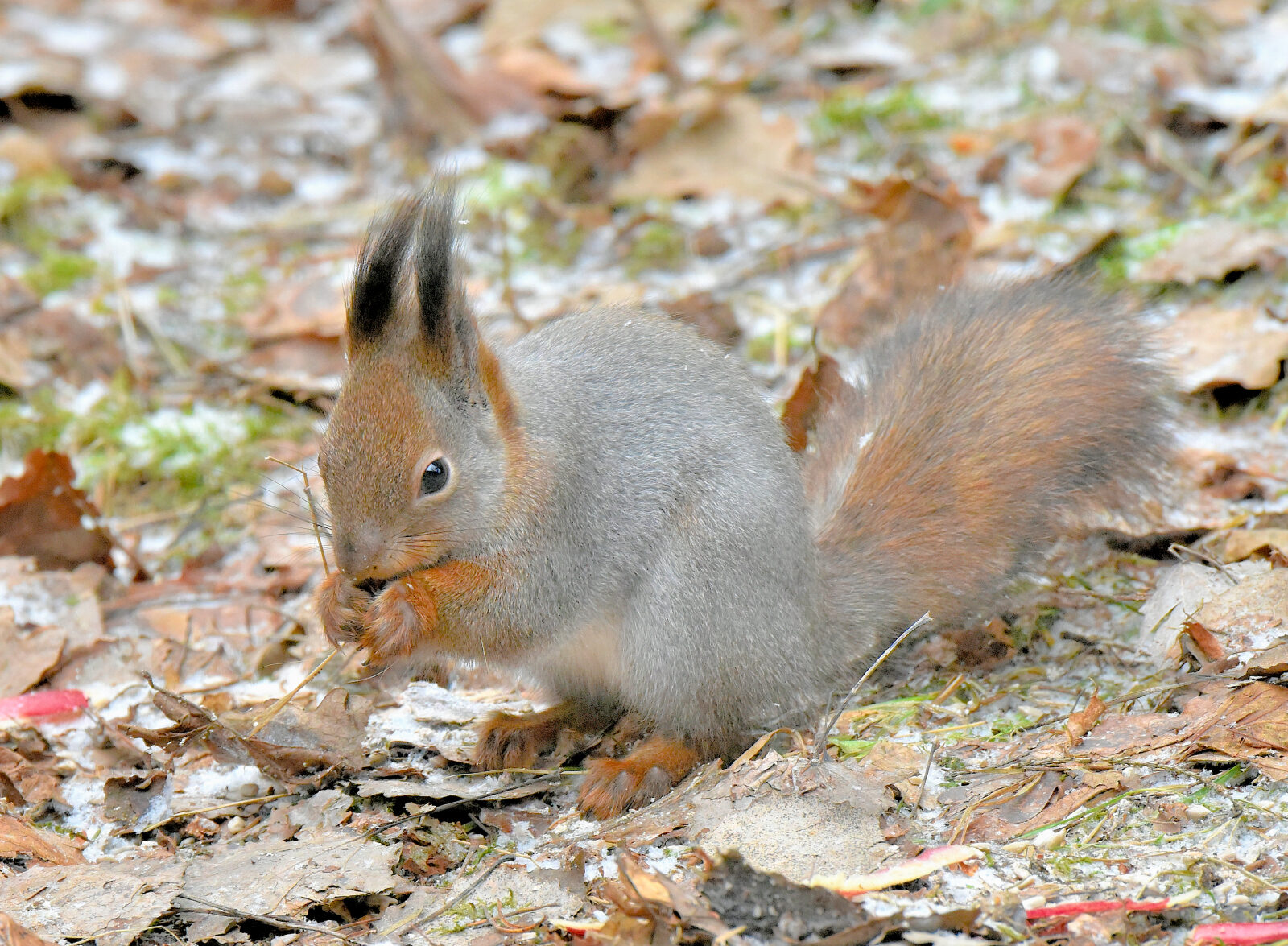 Valokuvaaja: Reijo Juurinen