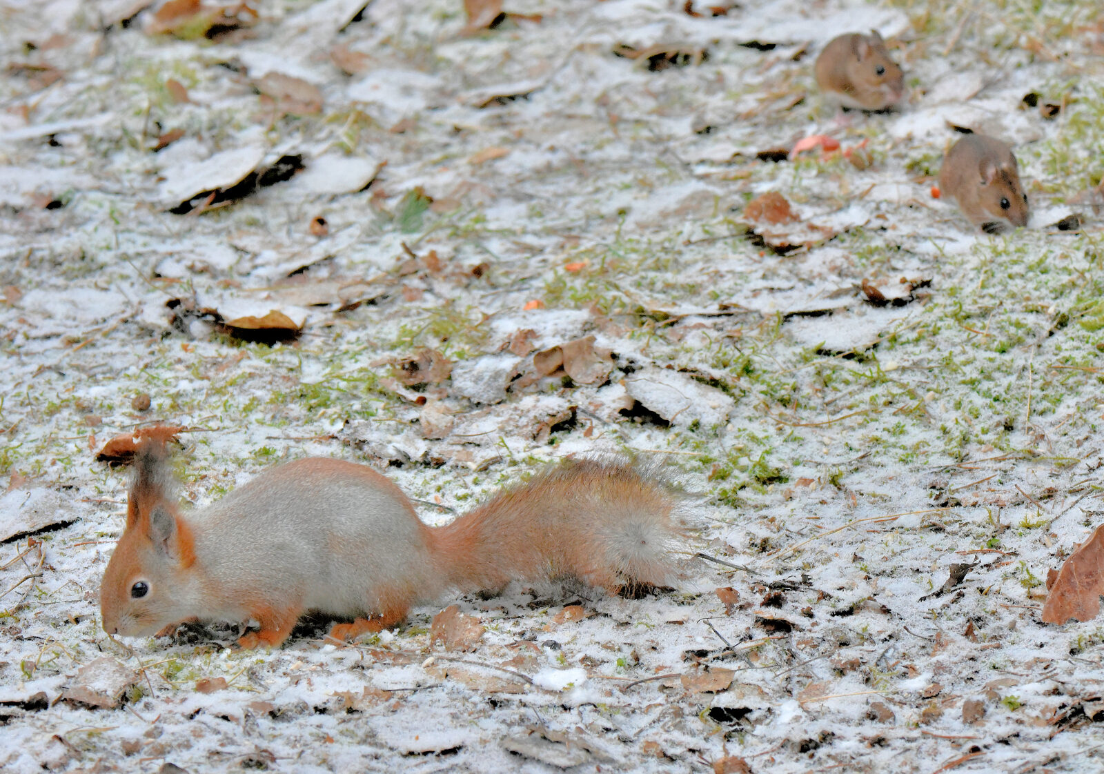 Valokuvaaja: Reijo Juurinen