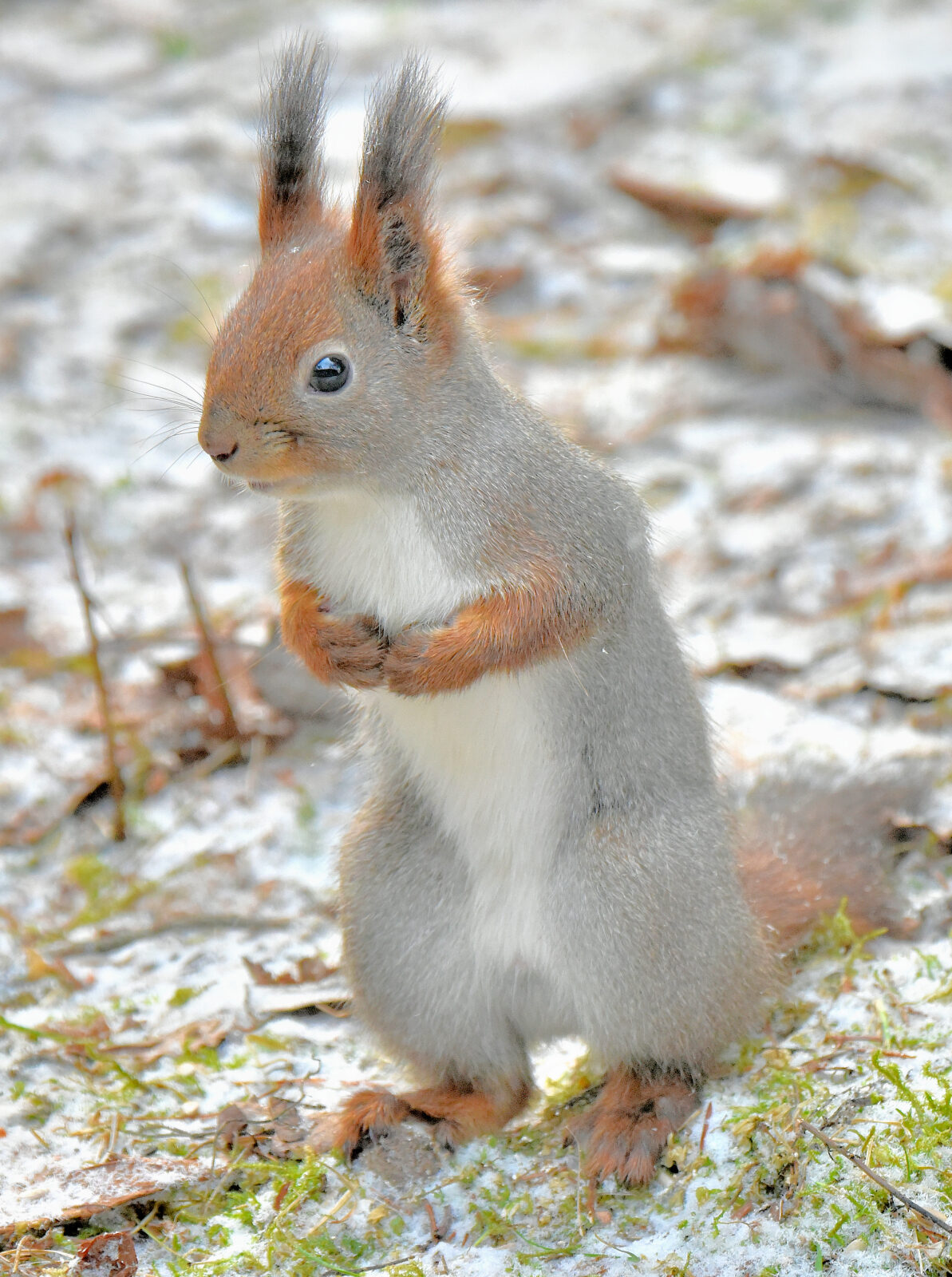 Valokuvaaja: Reijo Juurinen