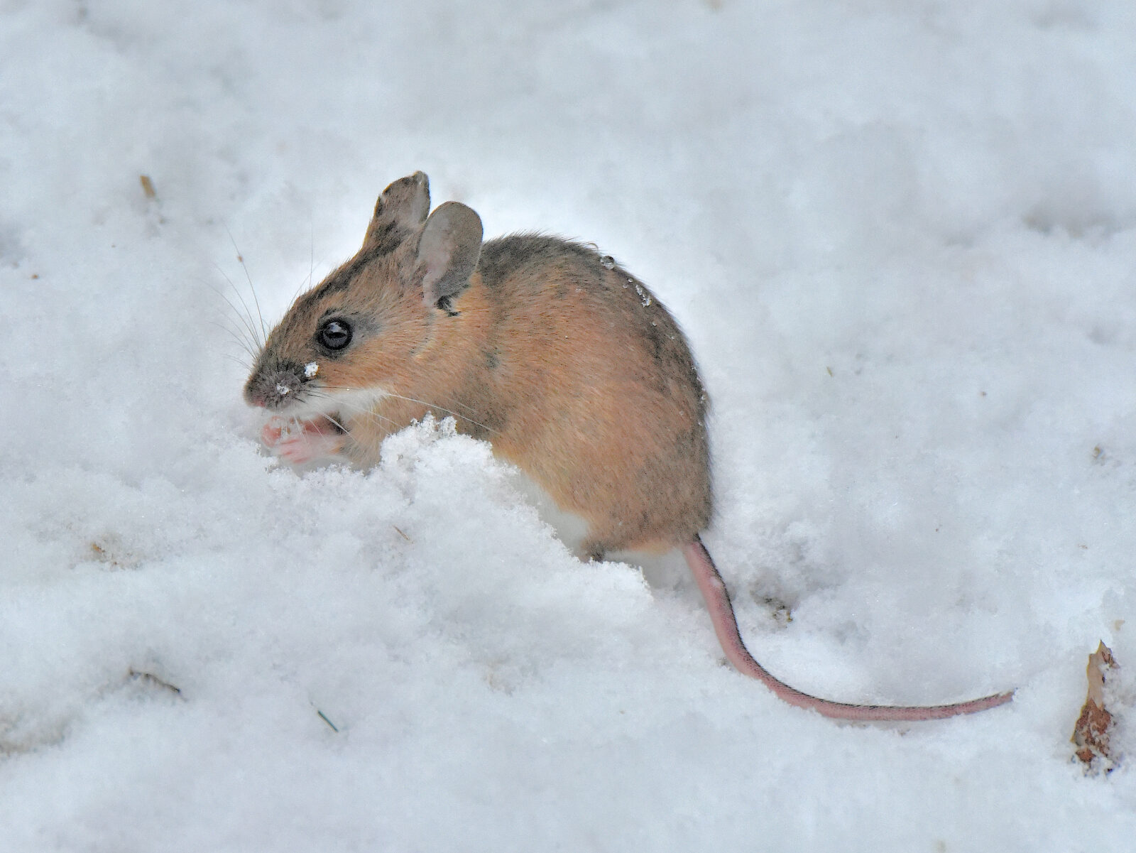 Valokuvaaja: Reijo Juurinen