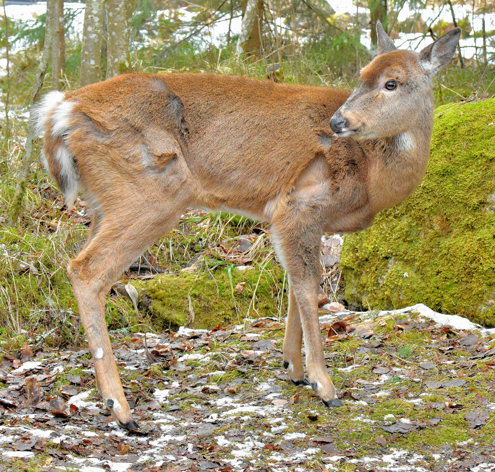 Valokuvaaja: Reijo Juurinen