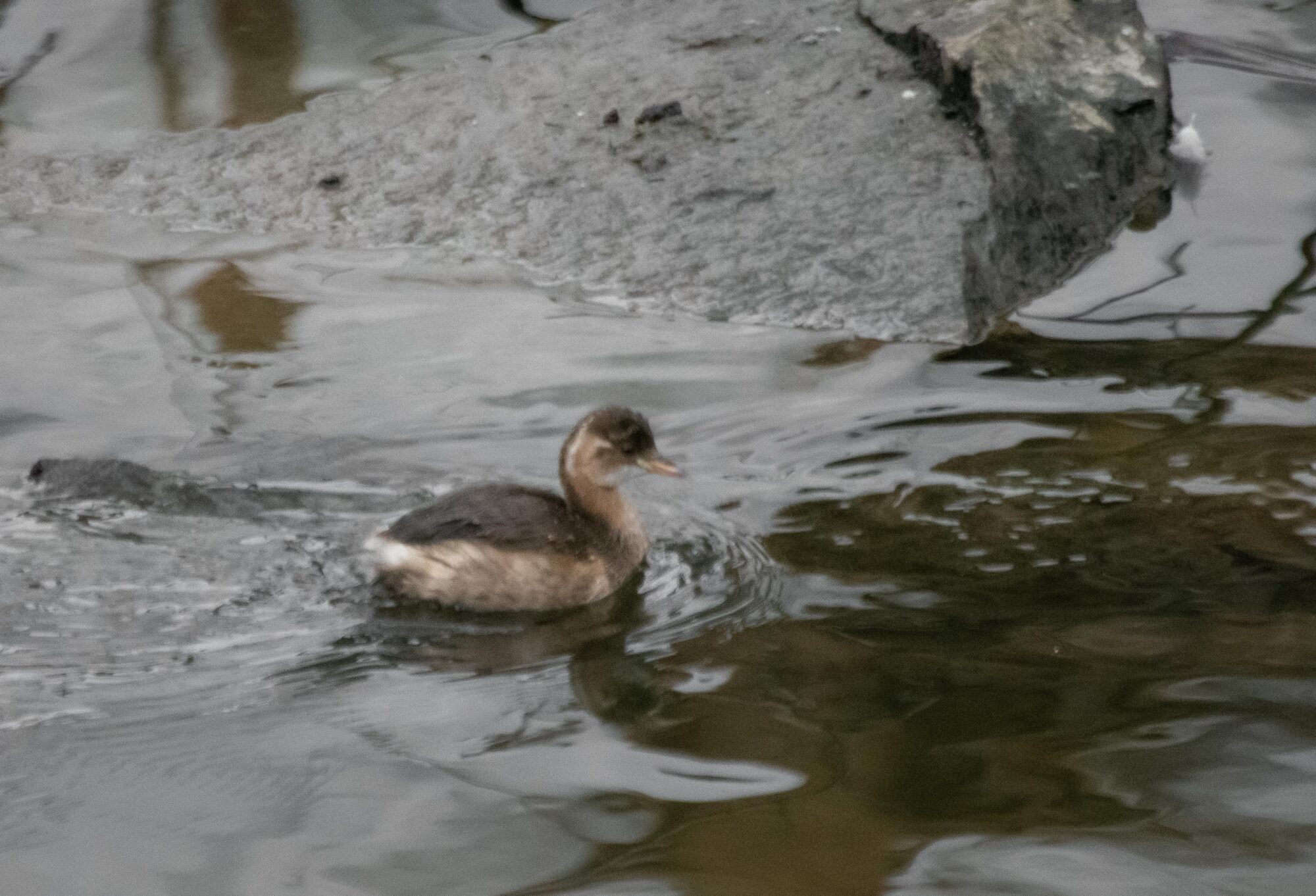 Valokuvaaja: Tuula Komsi