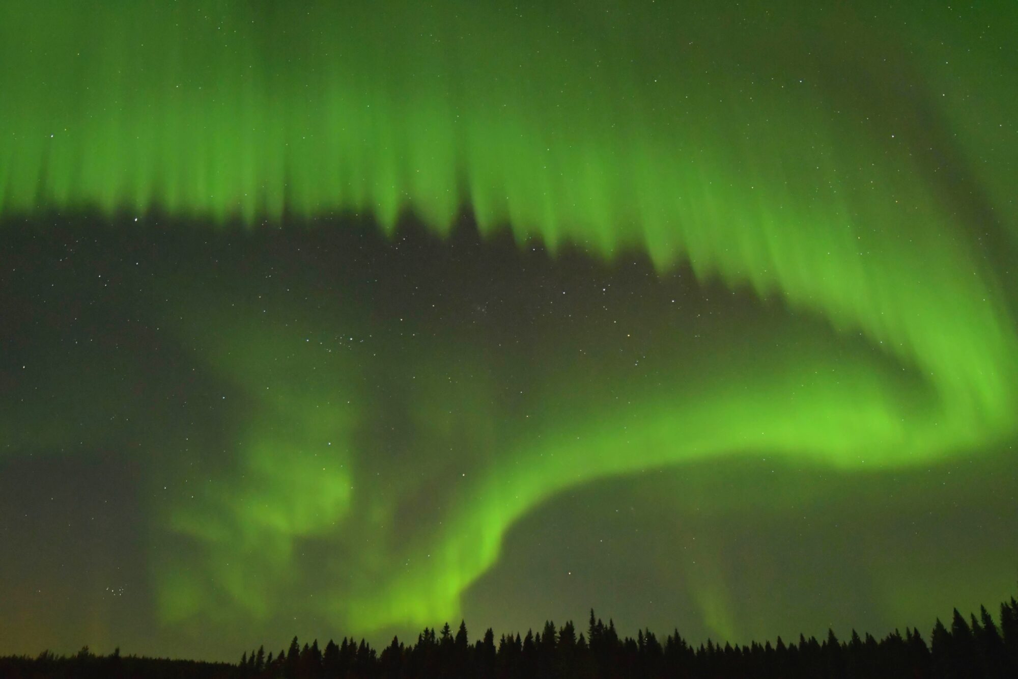Valokuvaaja: Ritva Pietikäinen