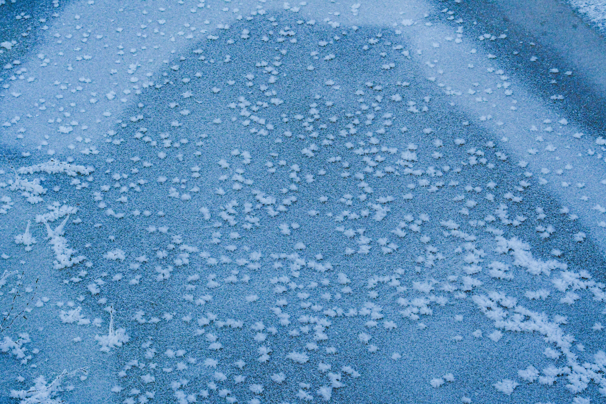 Valokuvaaja: Maija savolainen