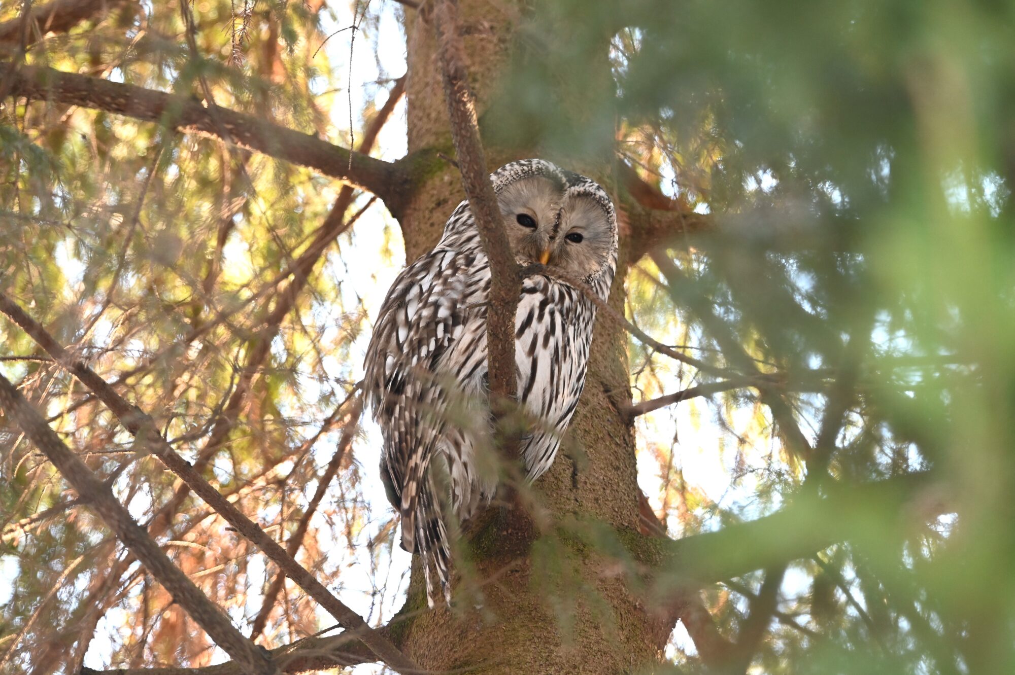 Valokuvaaja: Maarit Siitonen