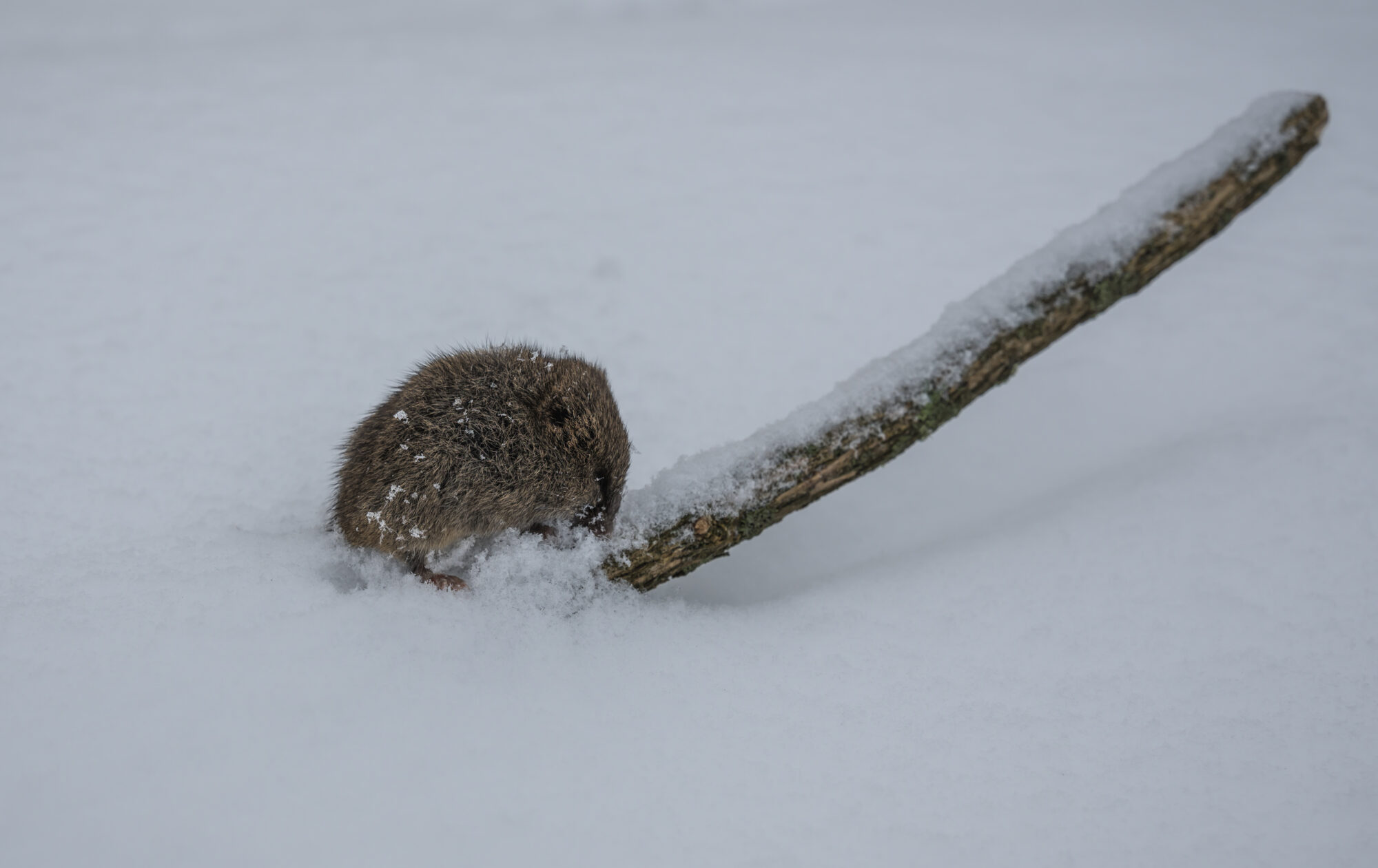 Valokuvaaja: MarkkuSaarinen