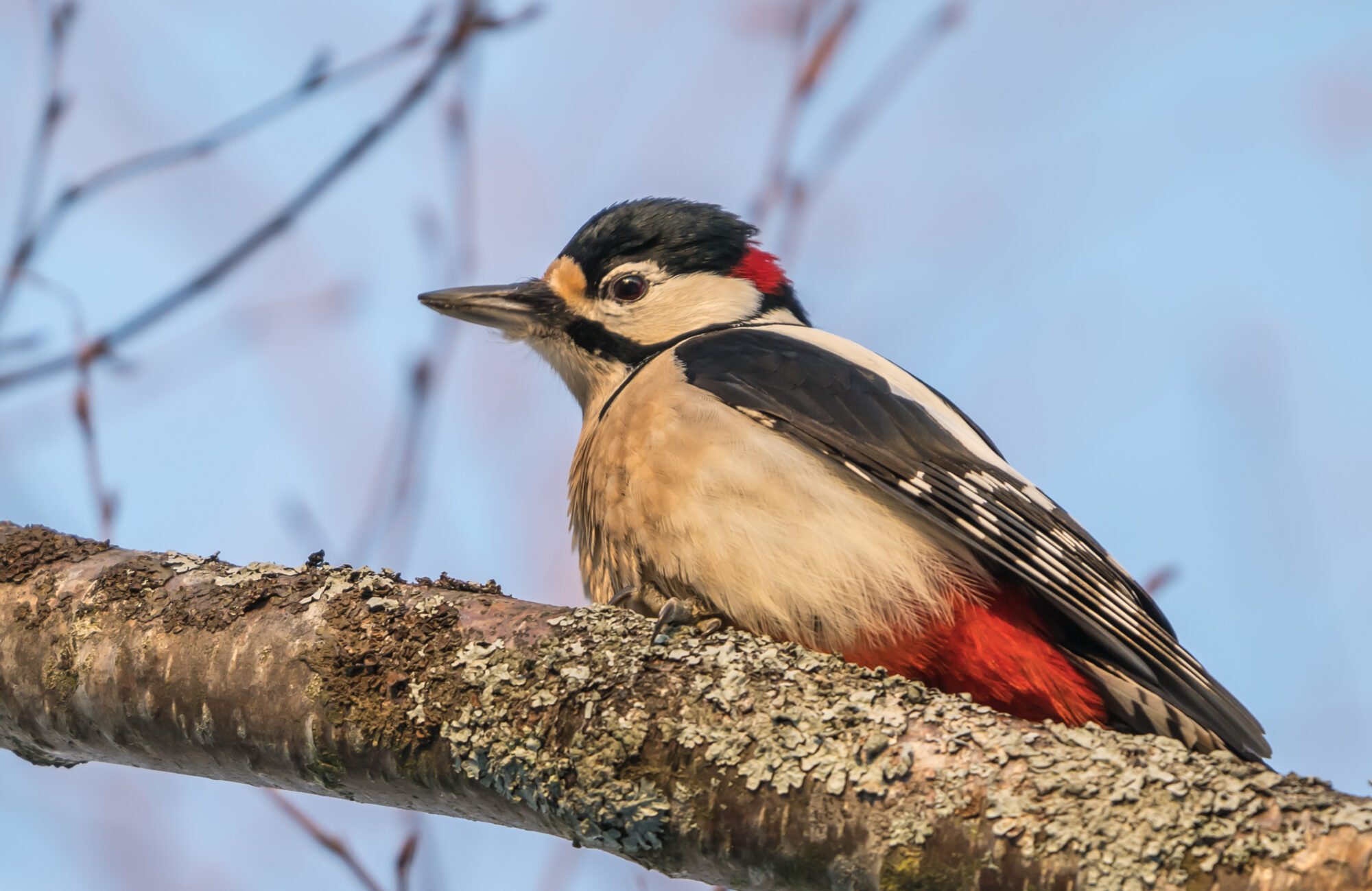Valokuvaaja: Markku Saarinen