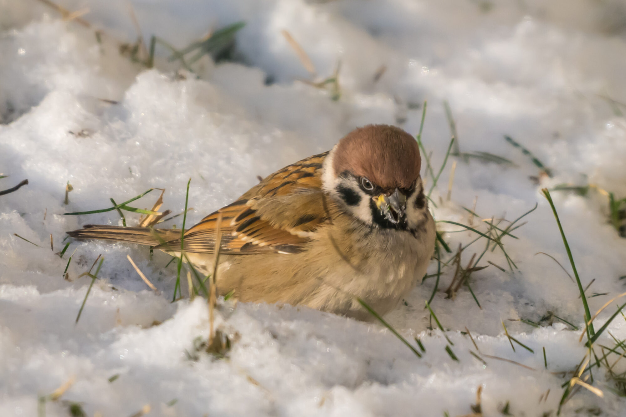 Valokuvaaja: Markku Saarinen