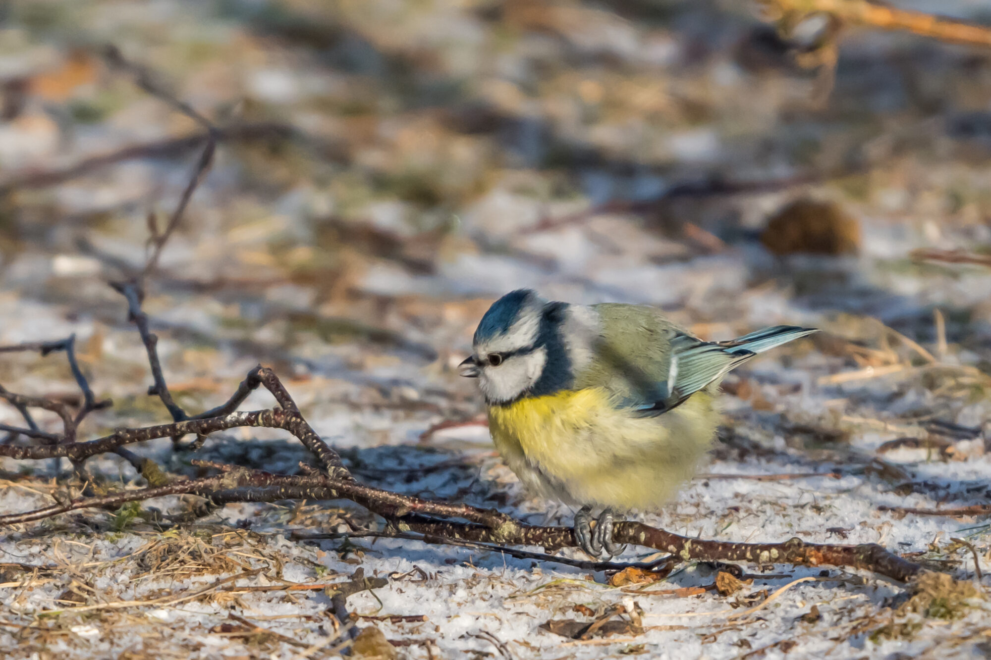 Valokuvaaja: Markku Saarinen Valokuvaaja: Markku Saarinen
