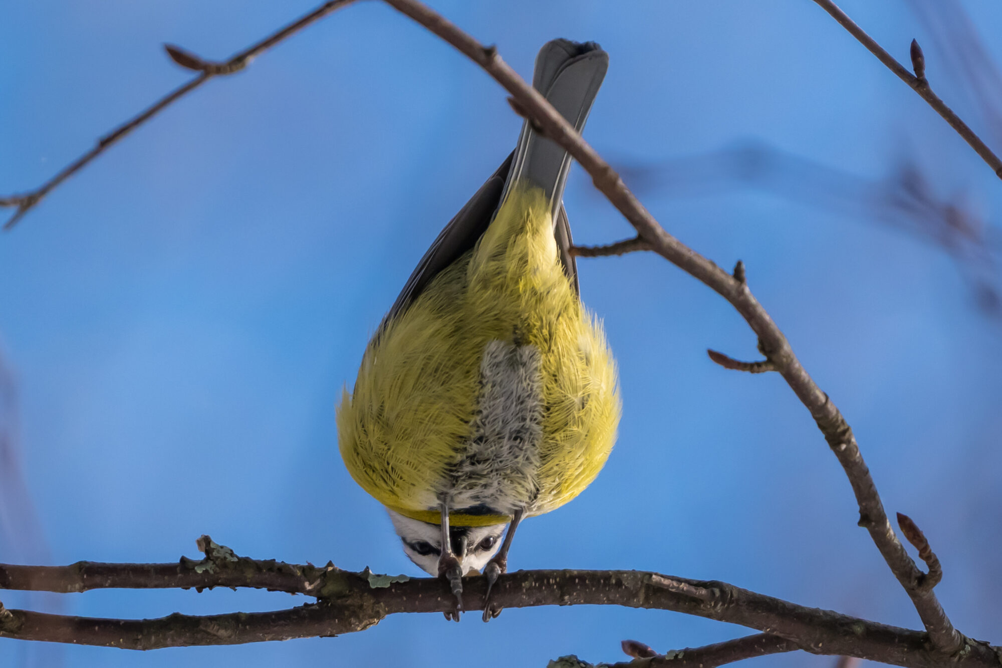 Valokuvaaja: Markku Saarinen