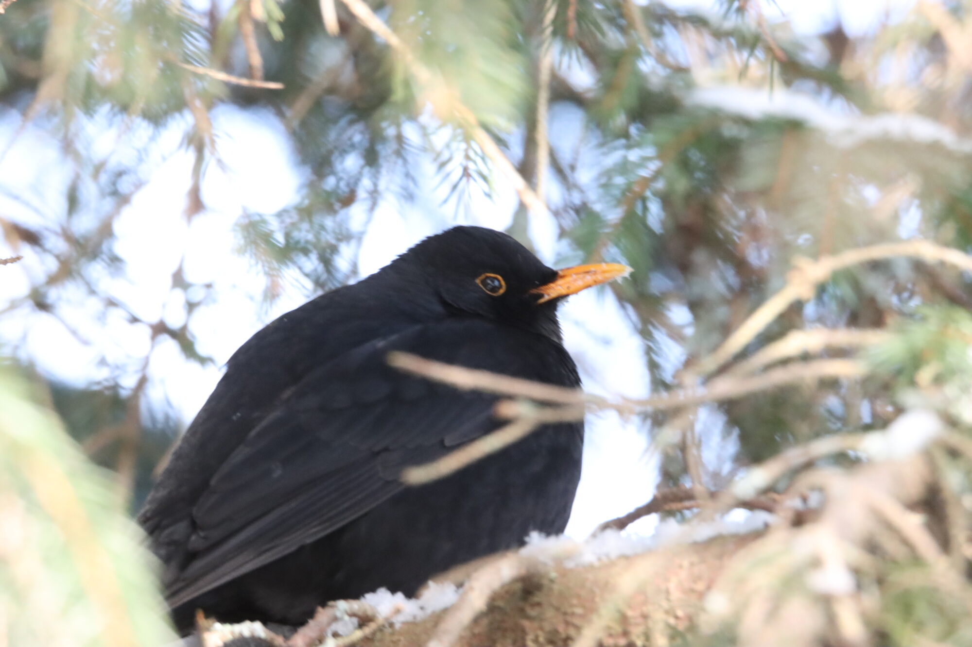 Valokuvaaja: Irja Lehtinen