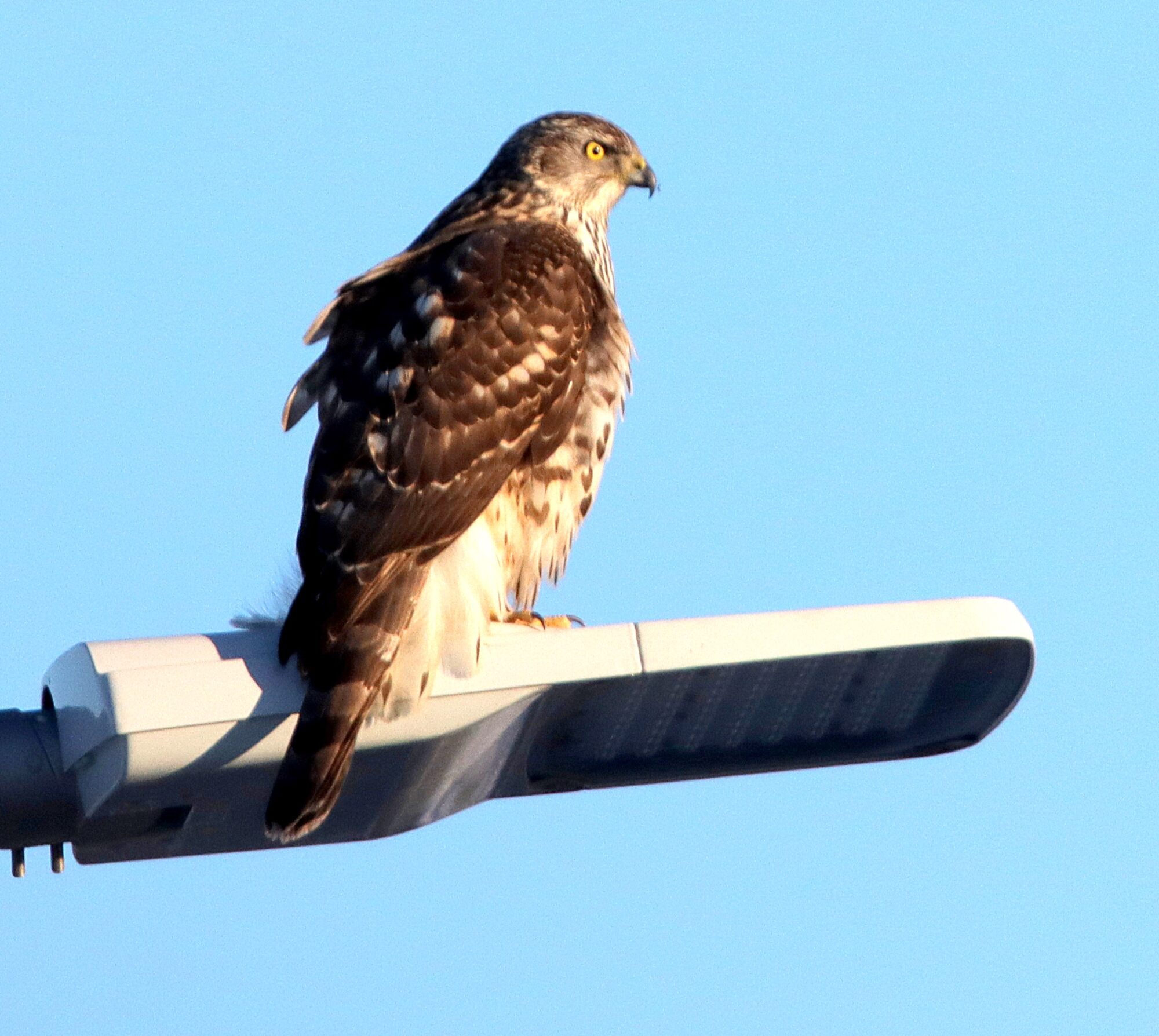 Valokuvaaja: Irja Lehtinen Valokuvaaja: Irja Lehtinen