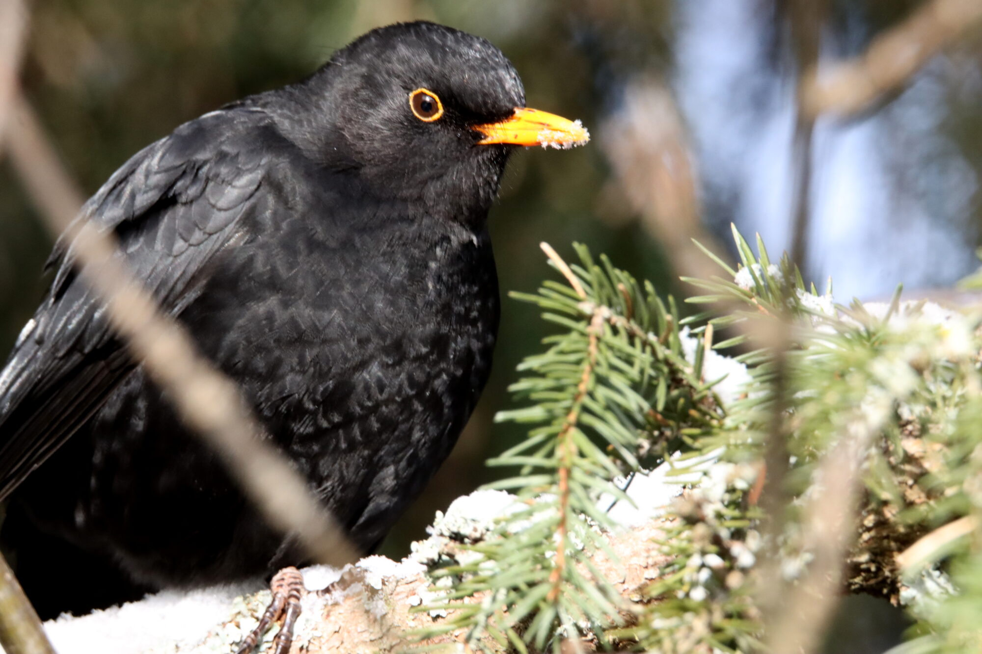 Valokuvaaja: Irja Lehtinen