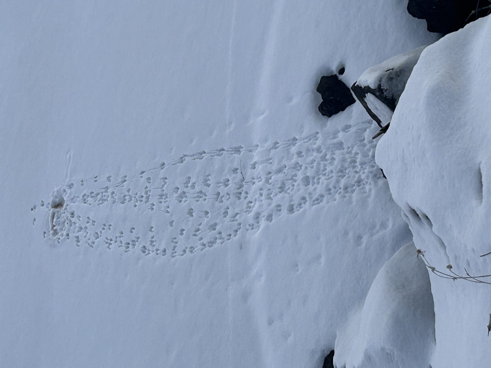 Valokuvaaja: Tapio Keinonen