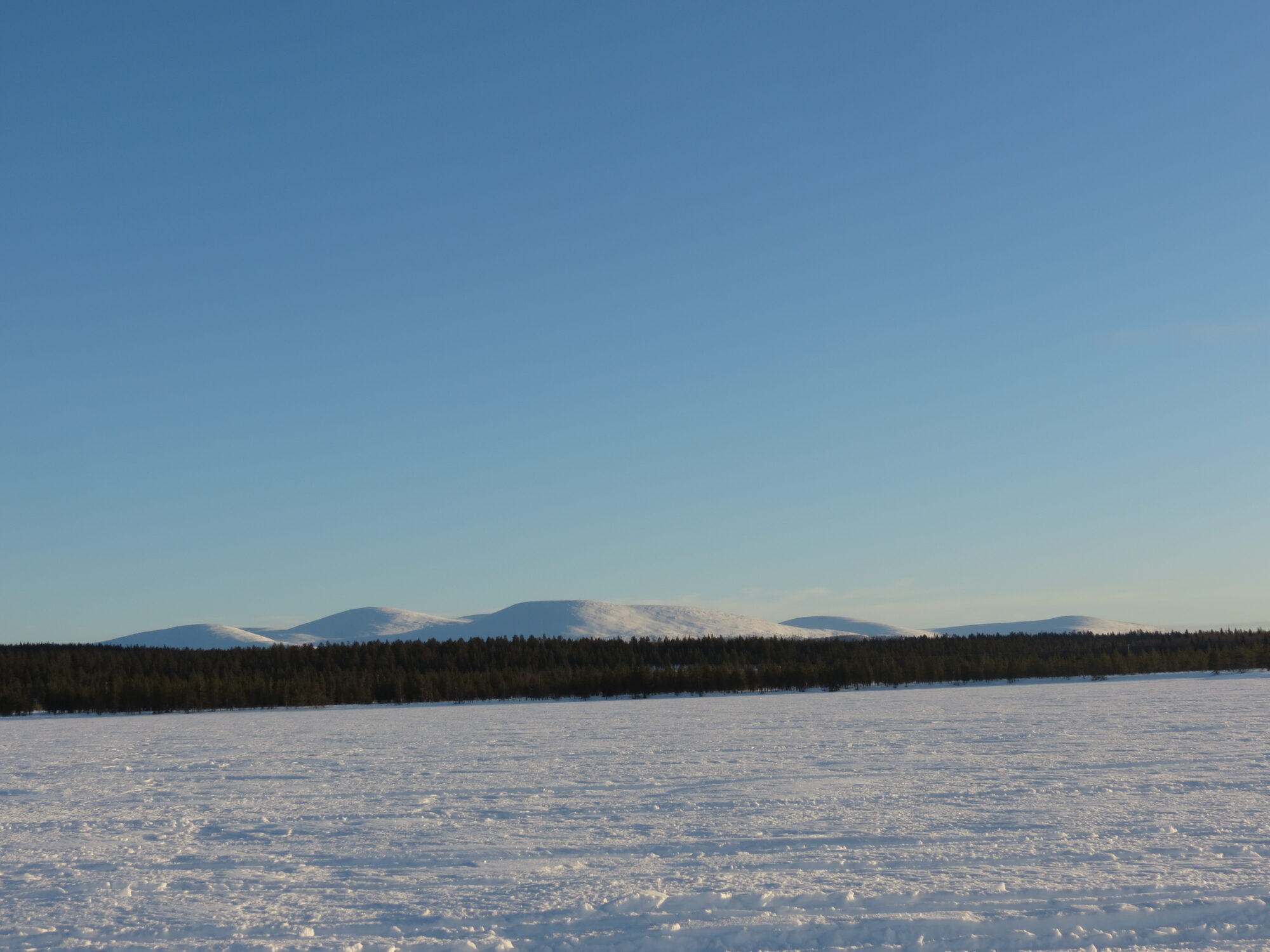 Valokuvaaja: Maija Sieppi