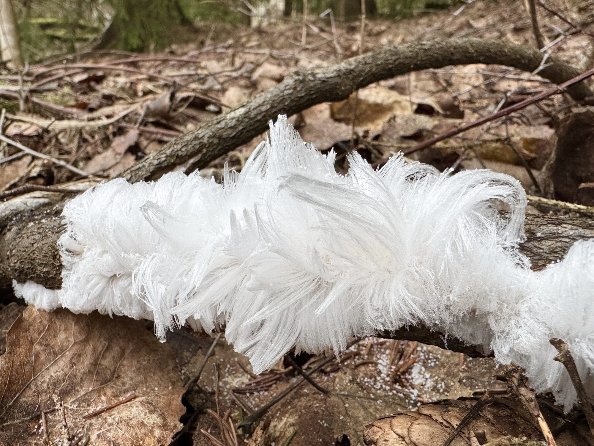 Valokuvaaja: Sampo Kiviniemi