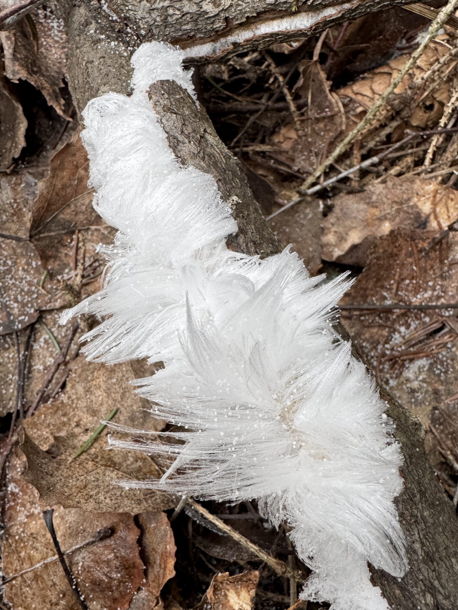 Valokuvaaja: Sampo Kiviniemi